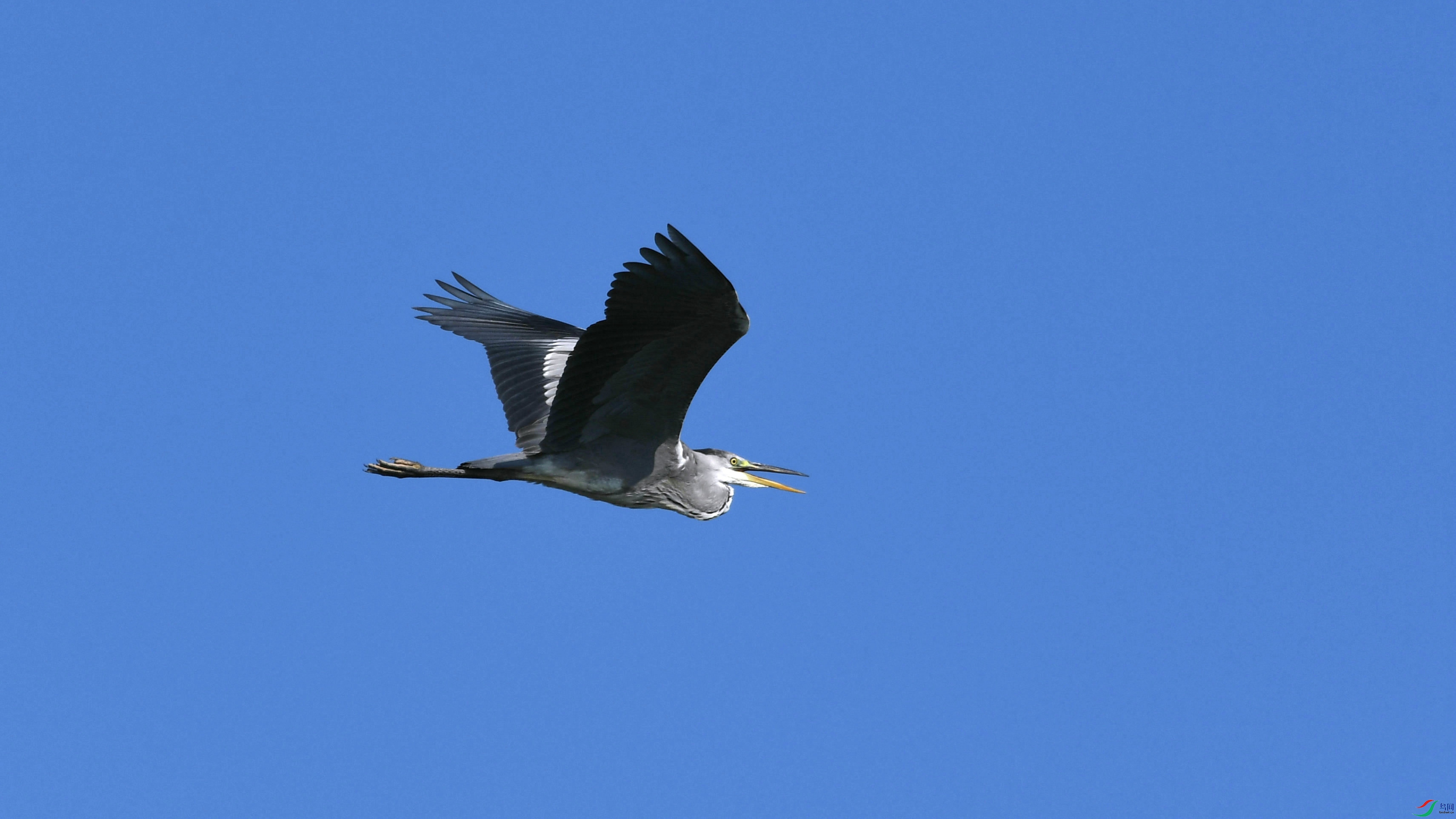 DSC_3995.JPG