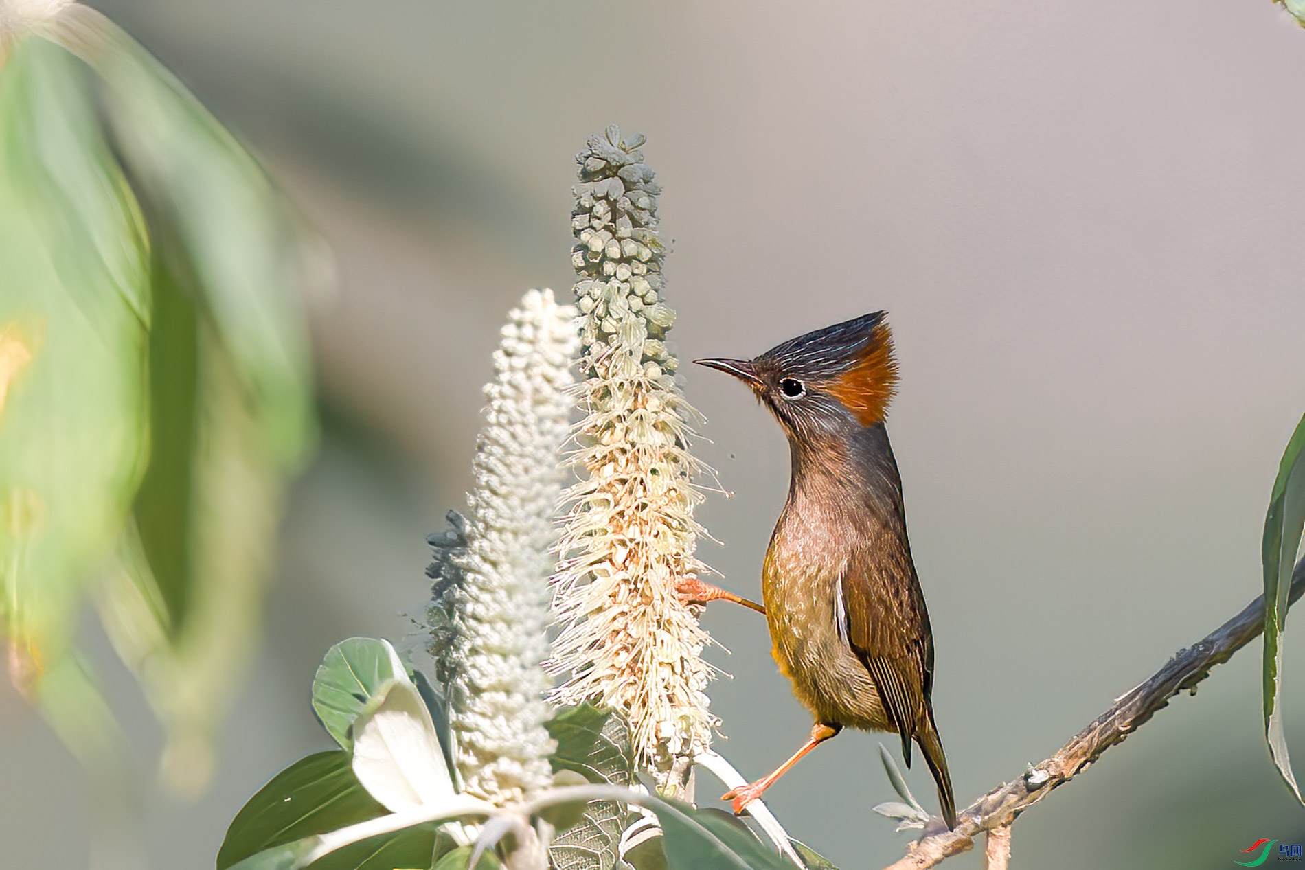 AQ4P0750-1.jpg