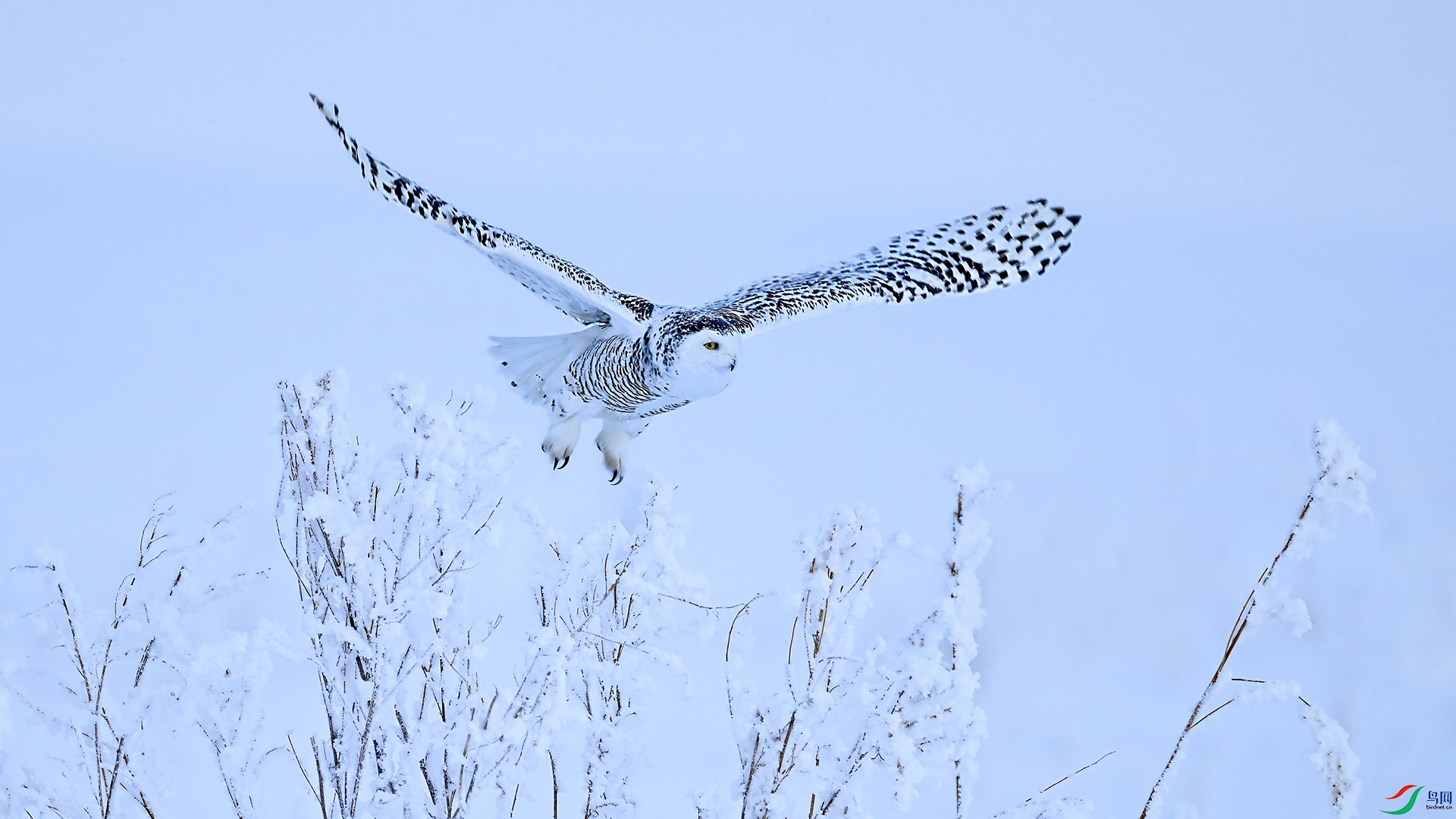 XIA_7959 ����.jpg