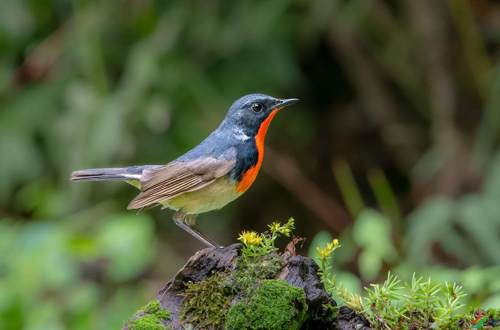 DSC_23441.jpg