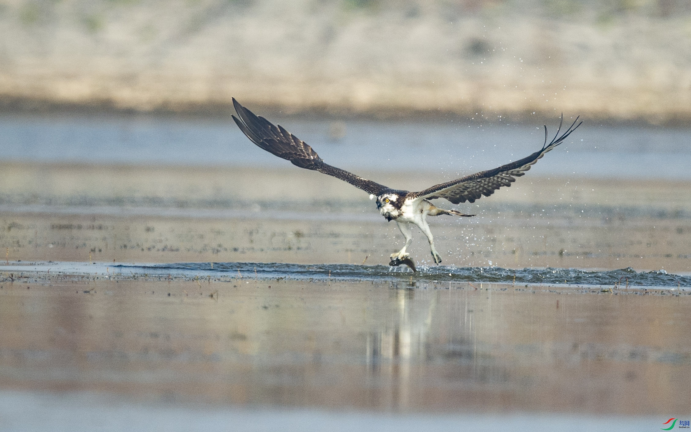 DSC_1636.jpg