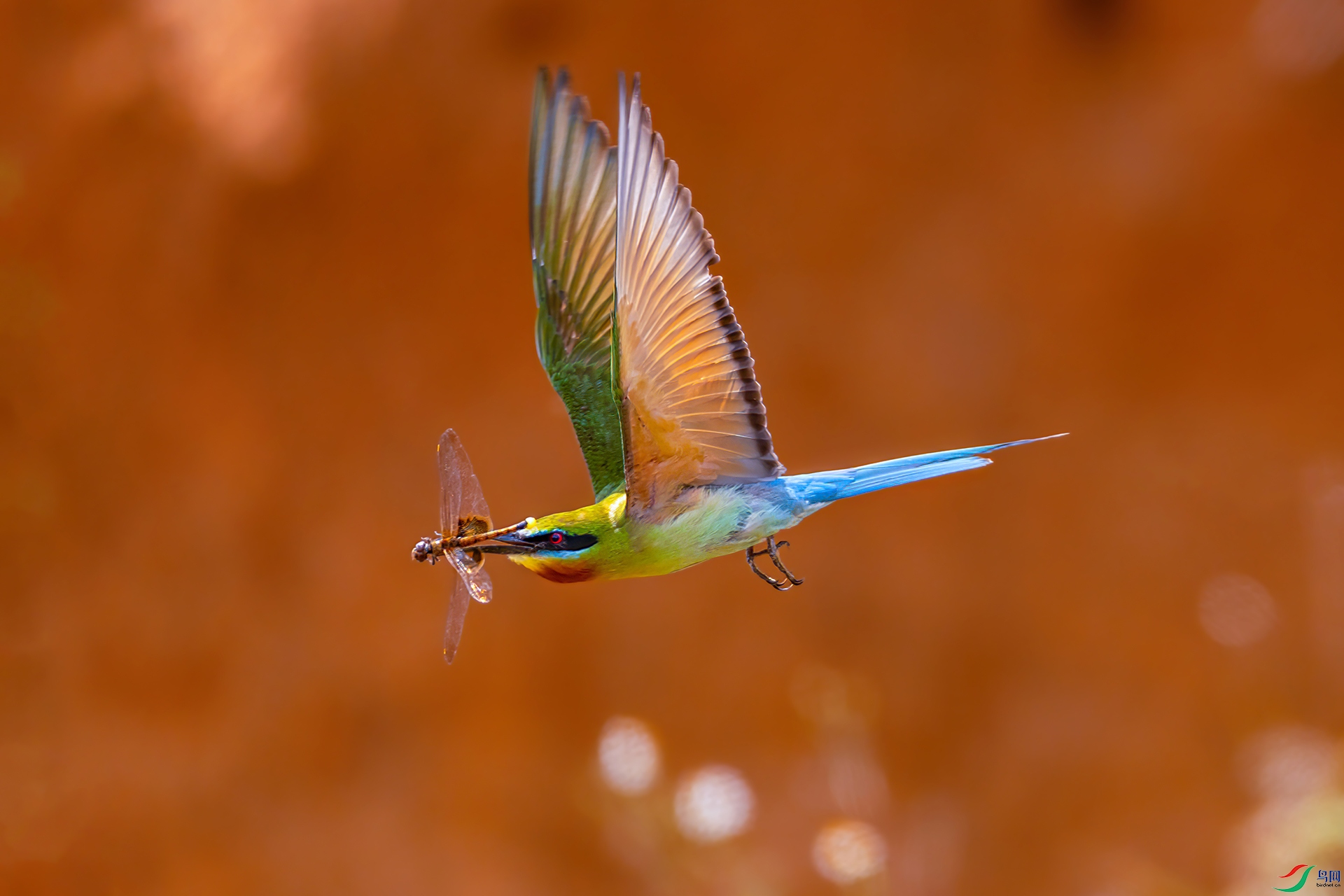 407A9923 ����-Sh---1 .jpg