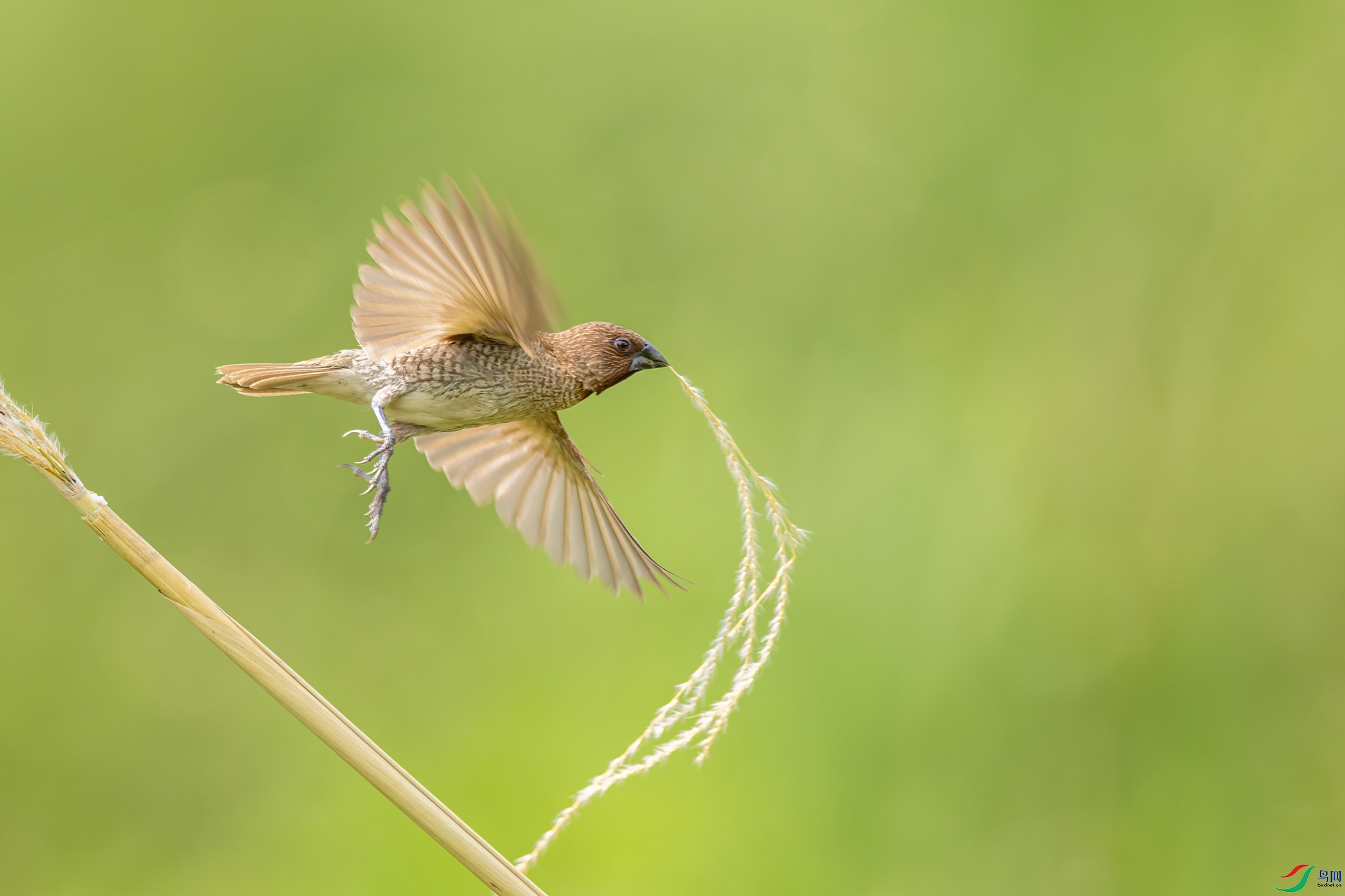 IMG_5671a.jpg