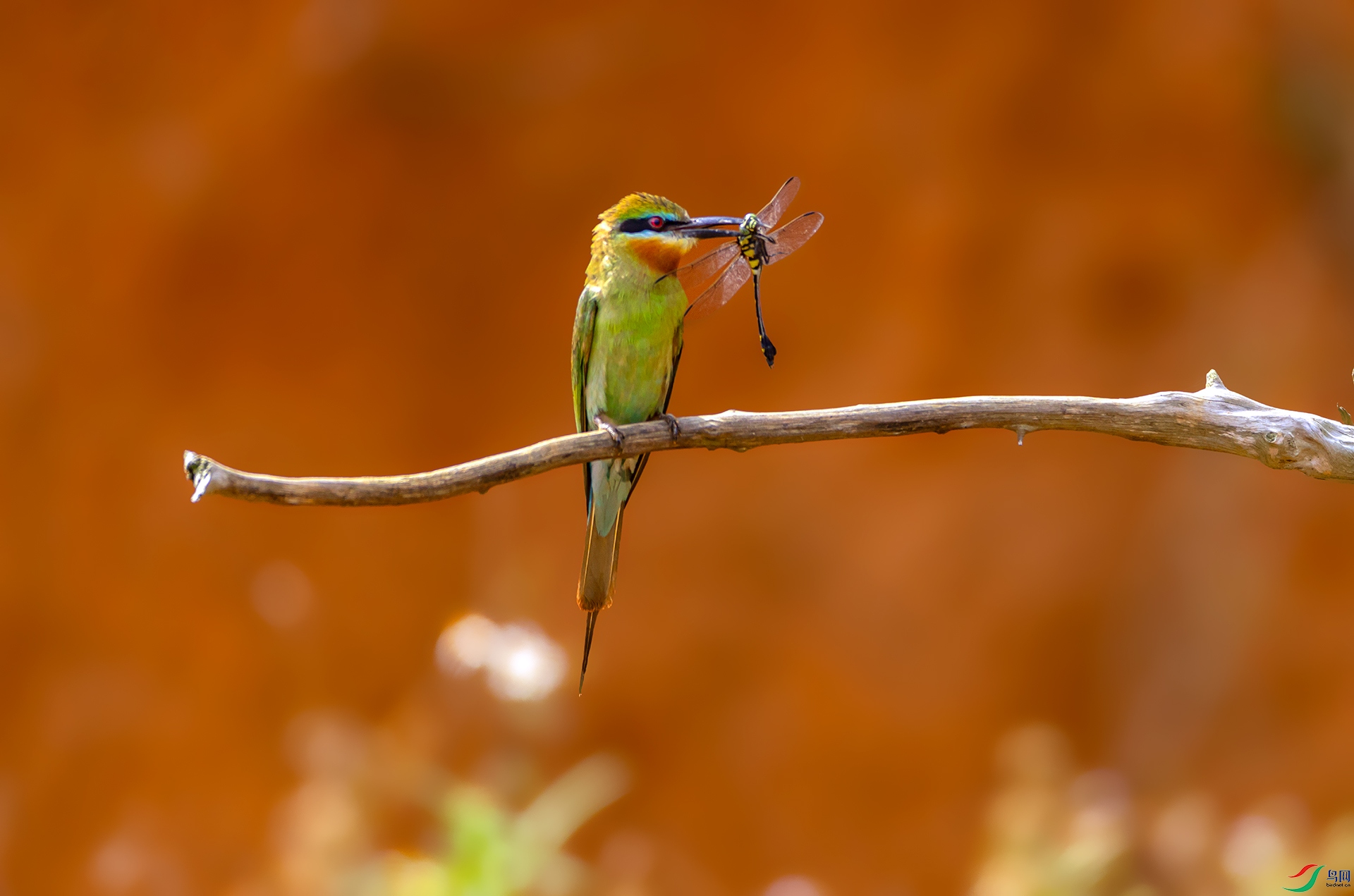 407A6042 ����---1 .jpg