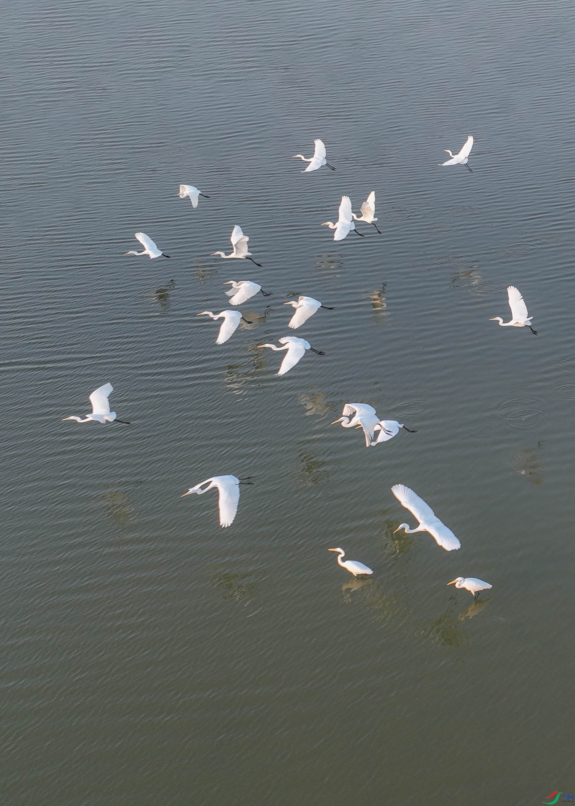 DJI_0264.JPG