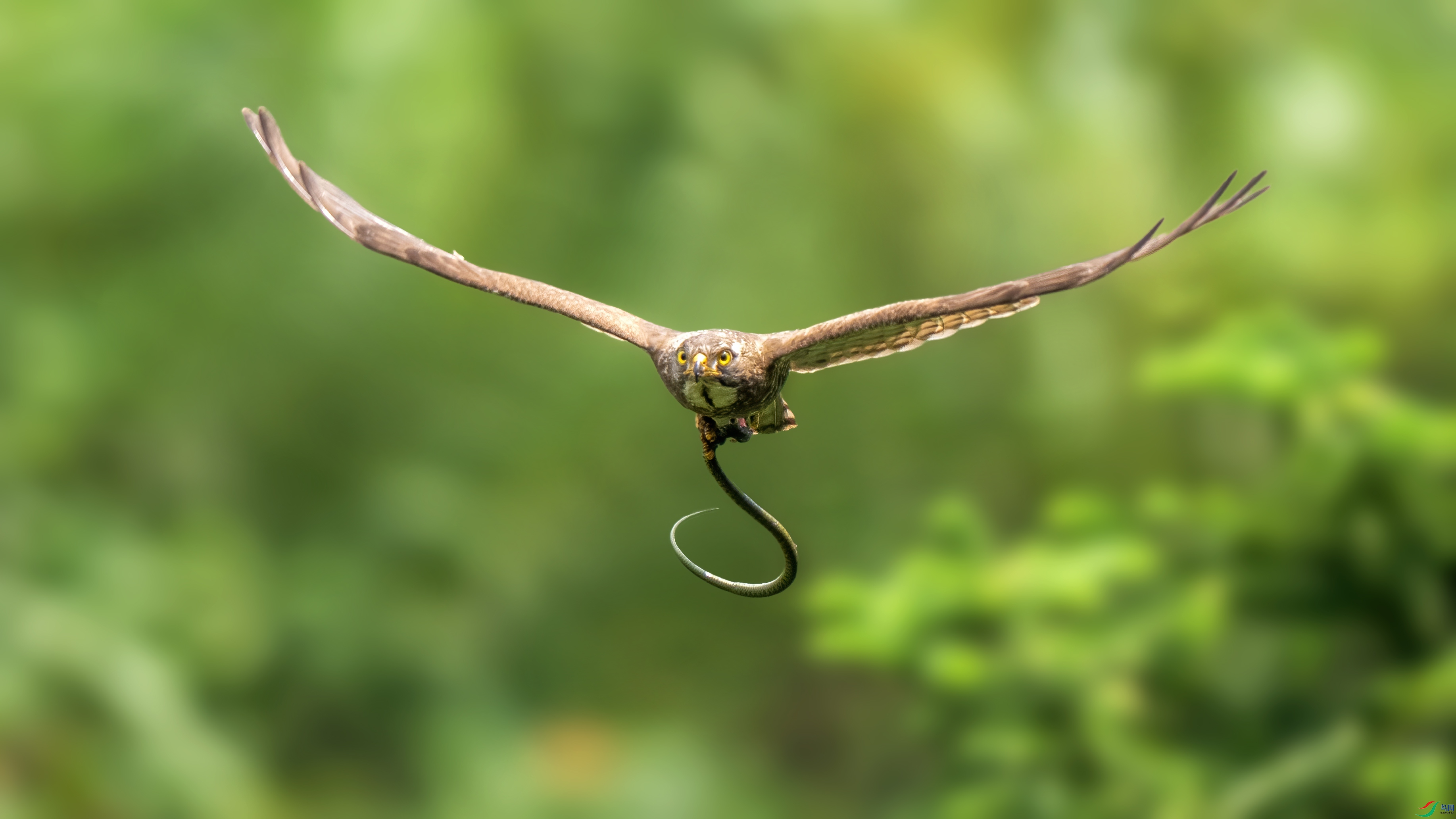 DSC08163 ����01.jpg