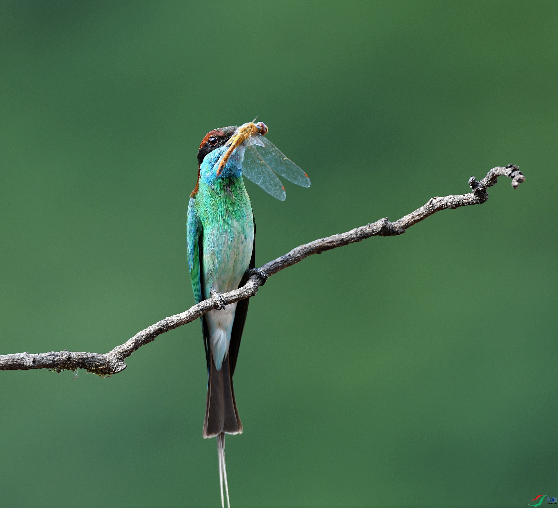 DSC_0201.jpg