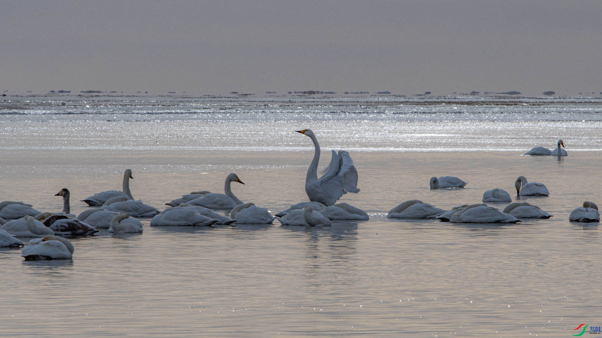 DSC_7294 ����_����.jpg