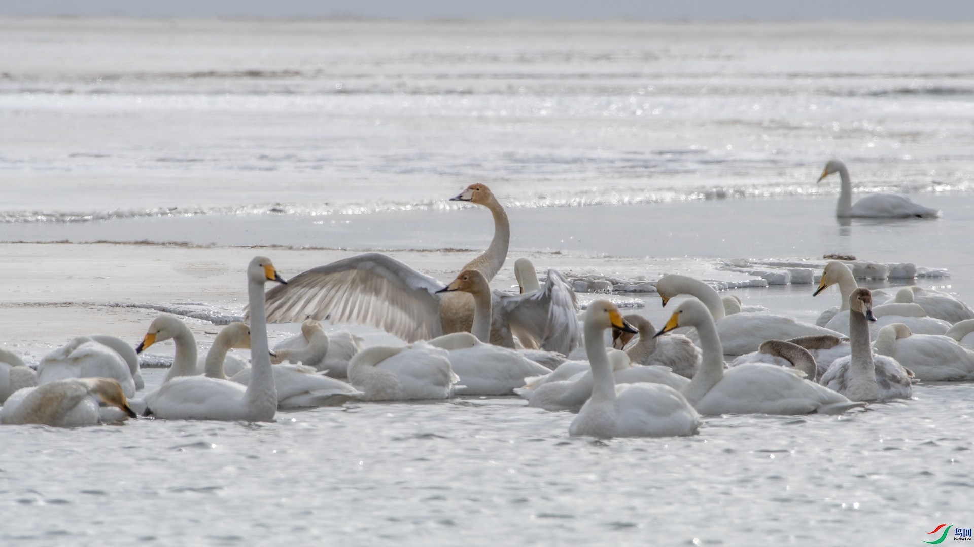 DSC_7341 ����_����.jpg