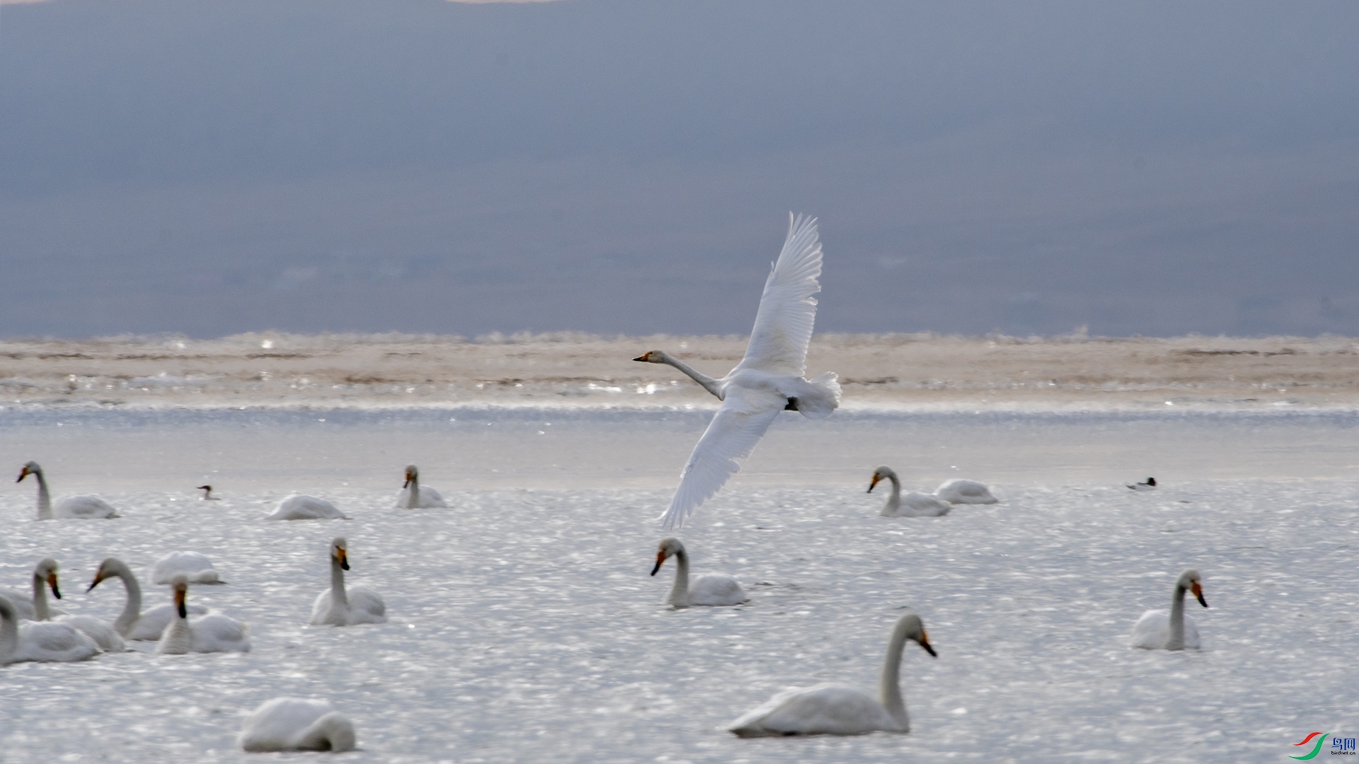 DSC_7345 ����_����.jpg