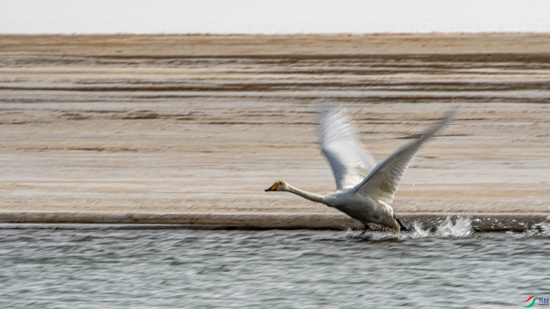 DSC_7587 ����_����.jpg