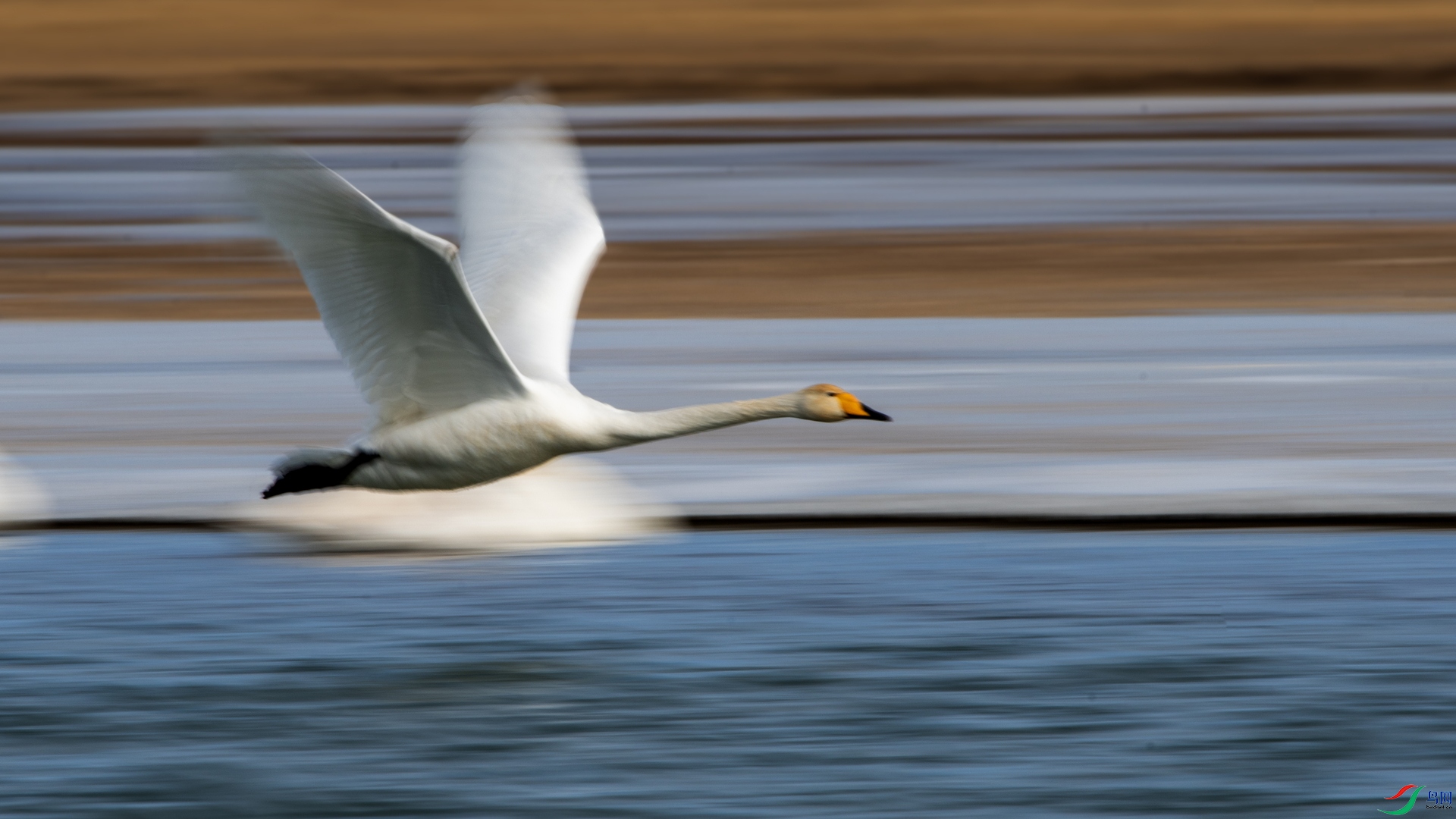 DSC_7667 ����_����.jpg