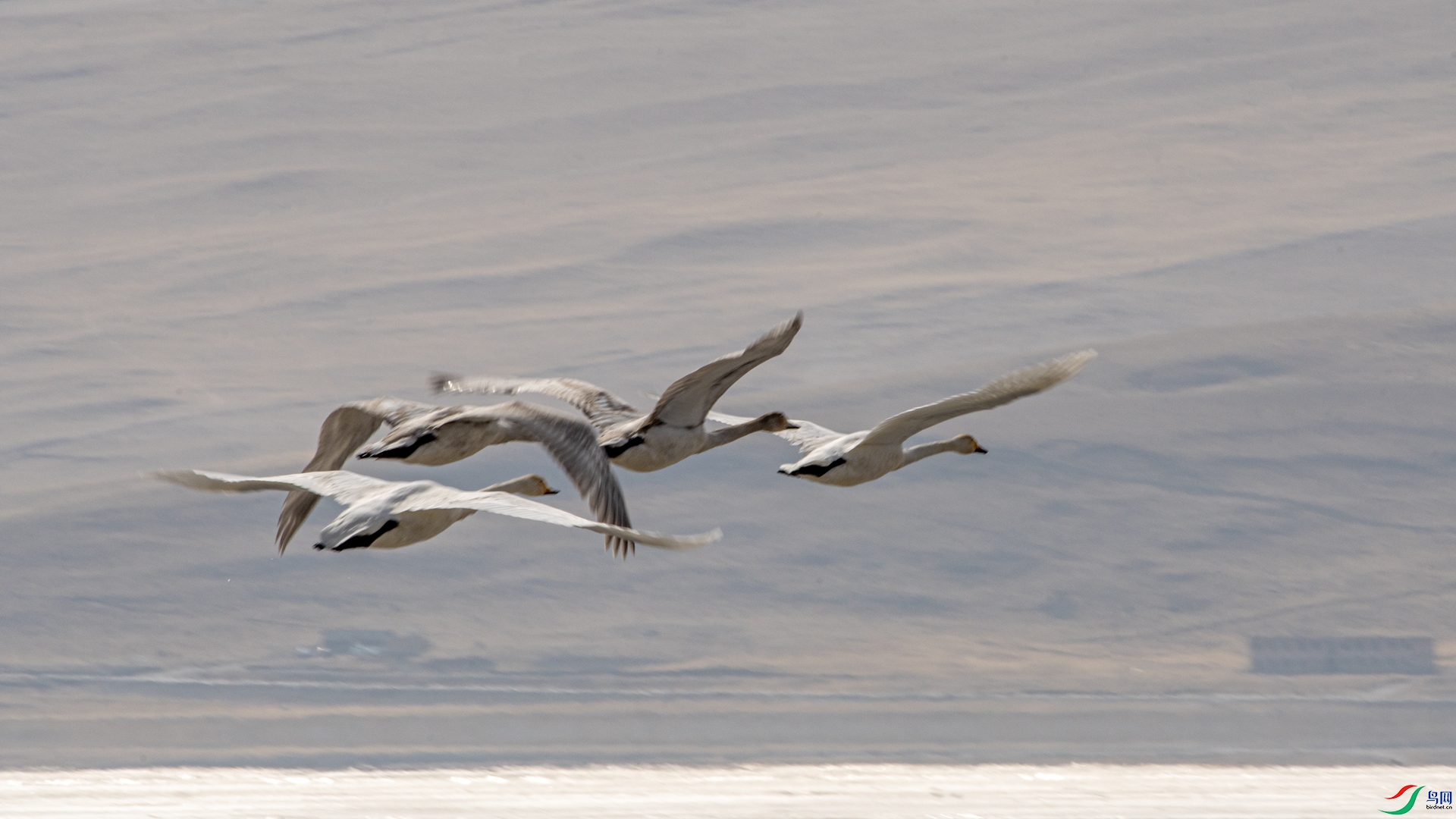 DSC_7690 ����_����.jpg