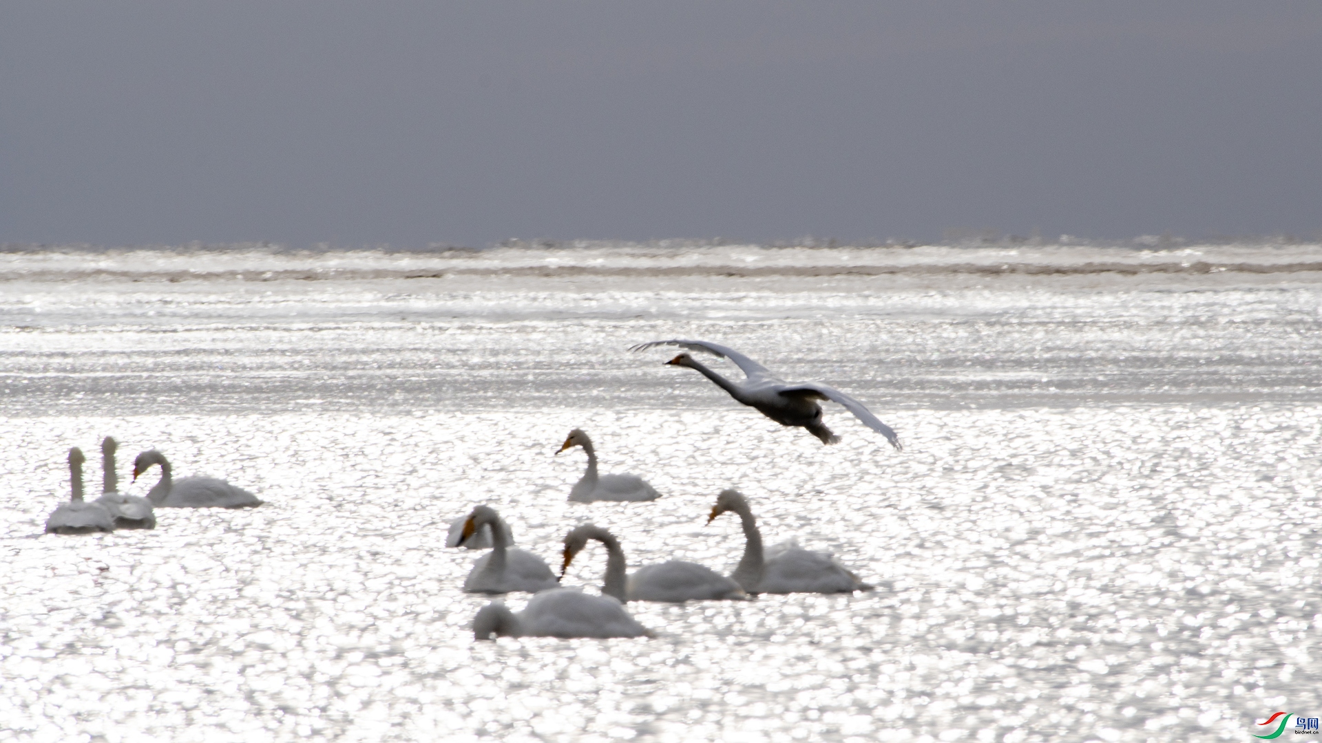 DSC_7363 ����_����.jpg