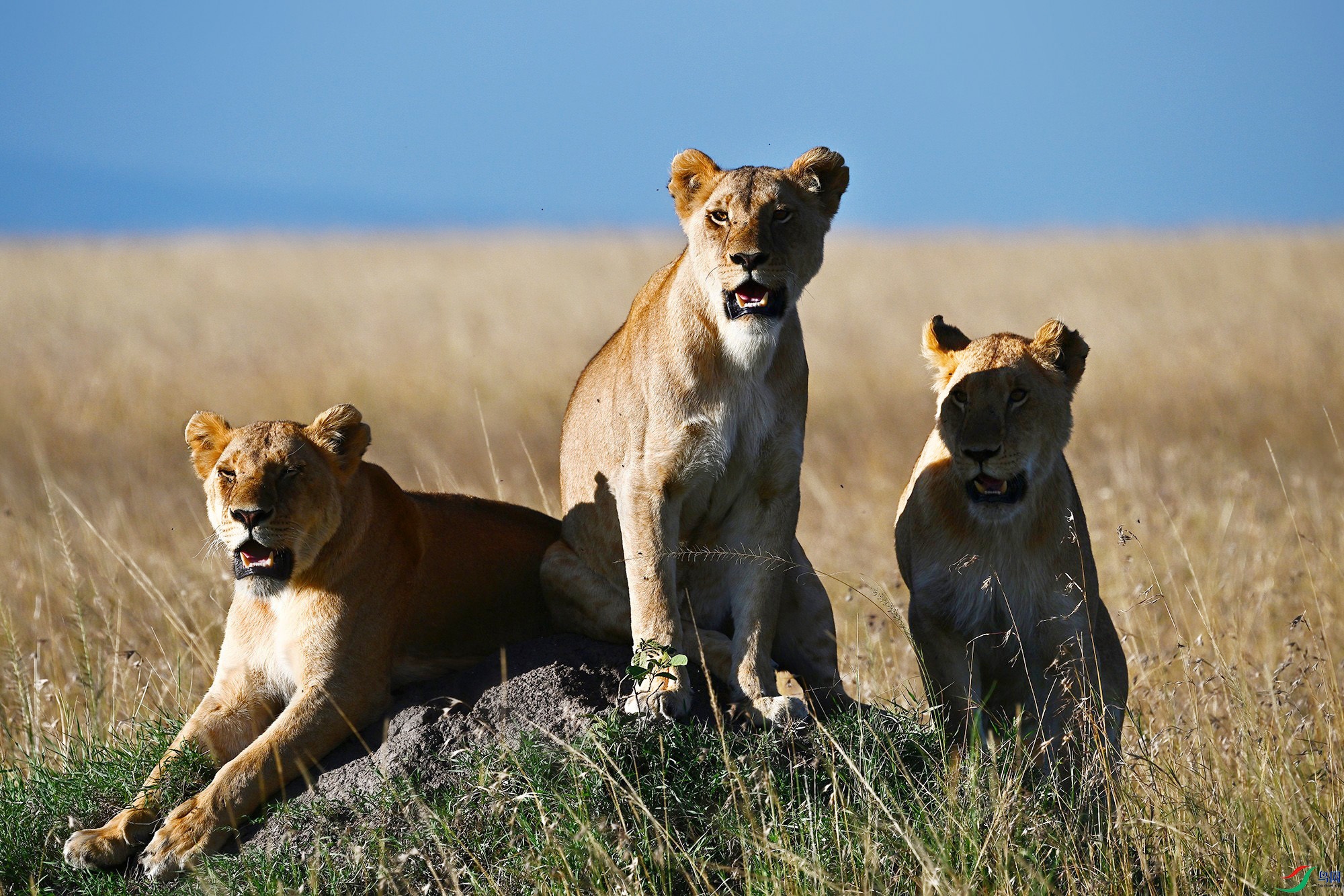 DSC_7294 - ����_.jpg