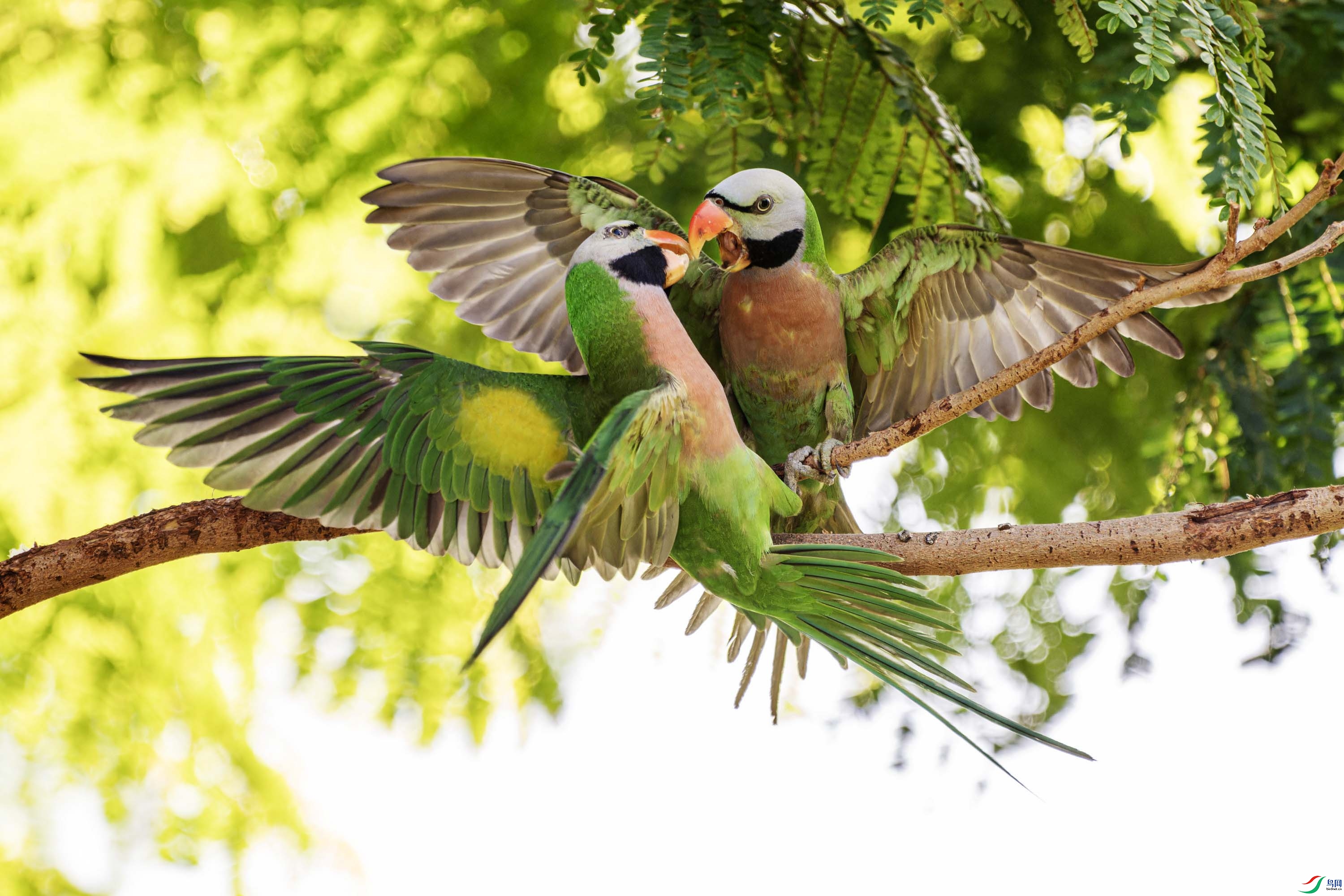 WXL_6753_02 ����.jpg