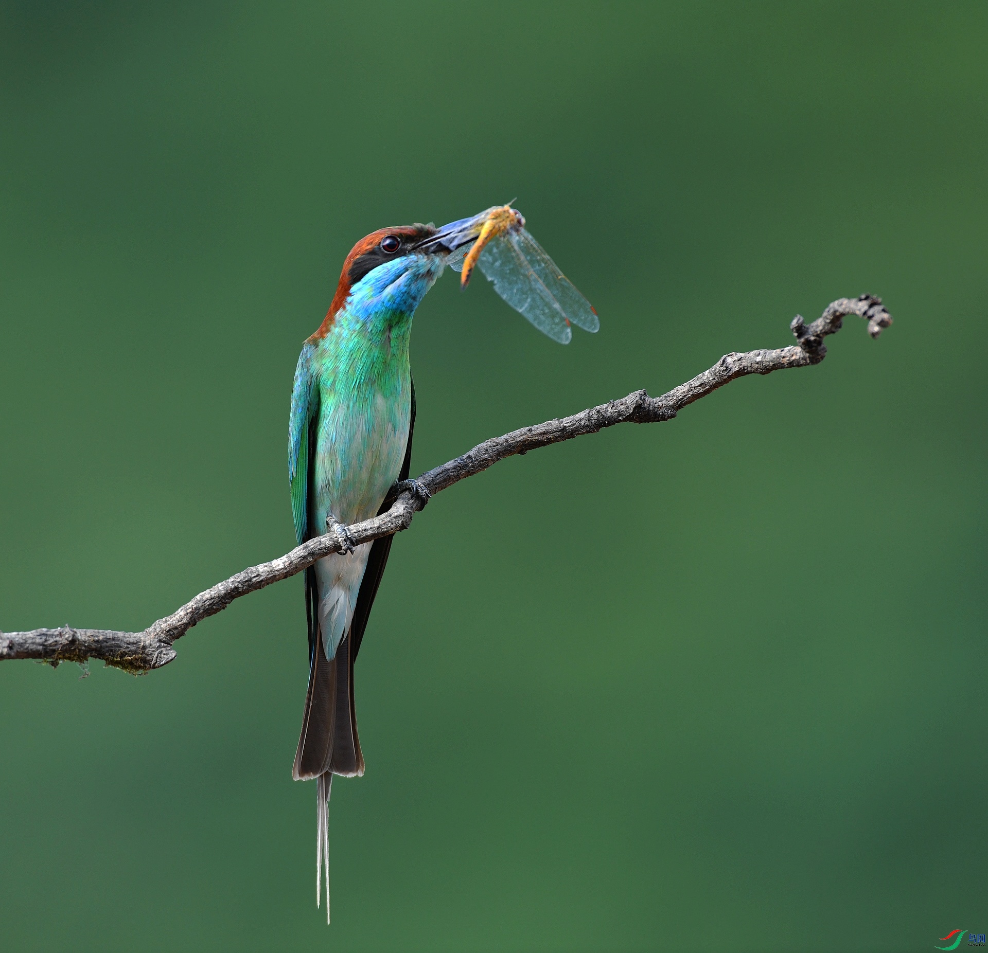 DSC_0186.jpg