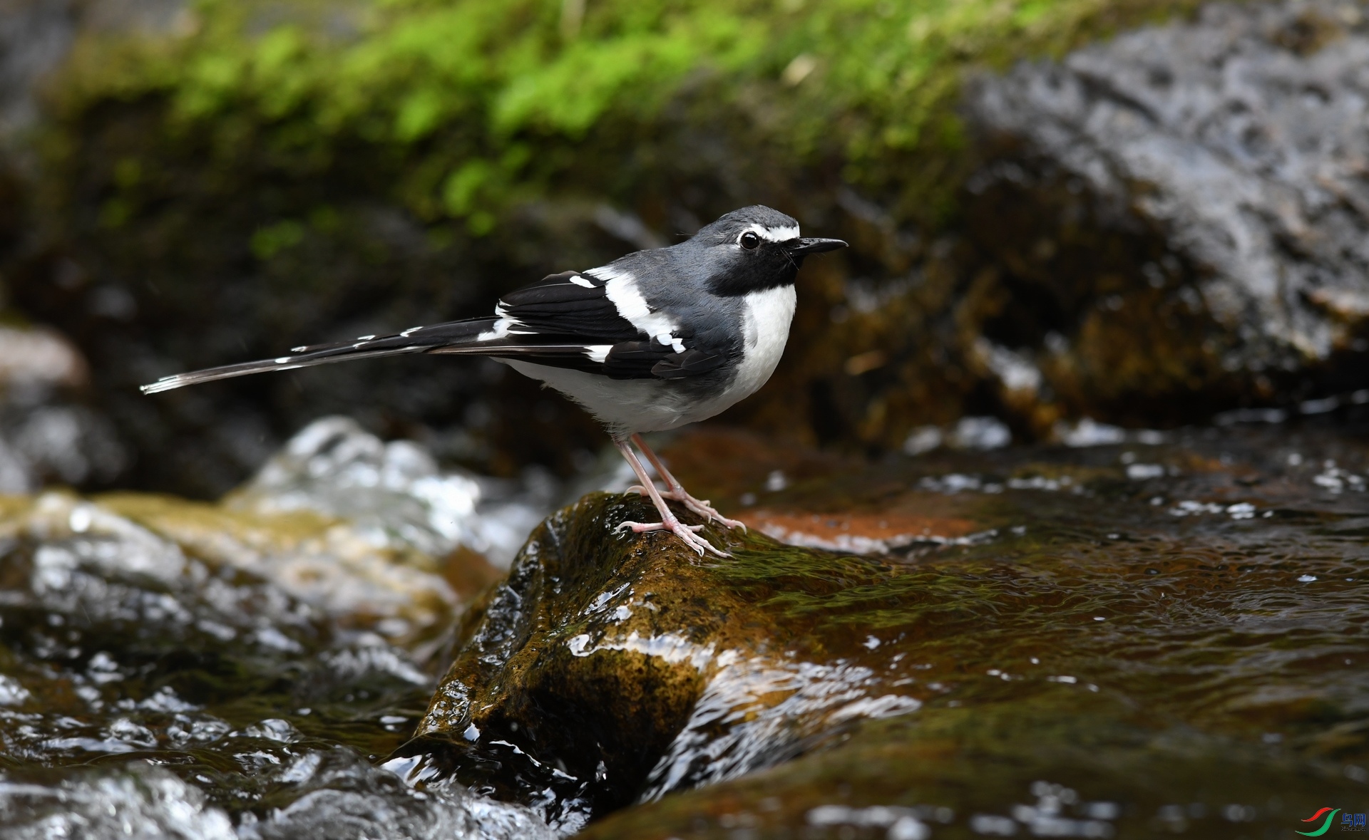 DSC_9023.jpg
