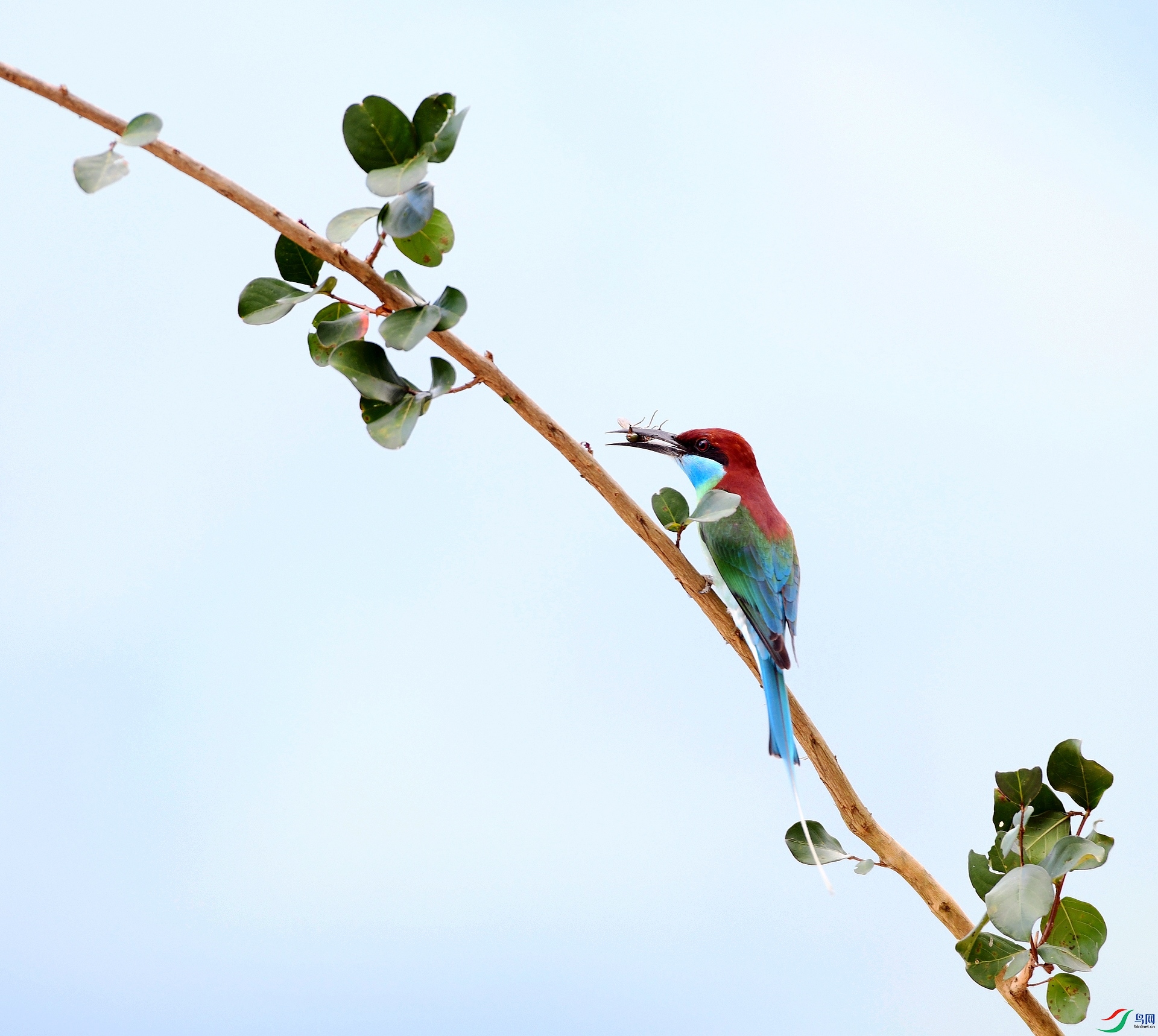 DSC_9167.jpg