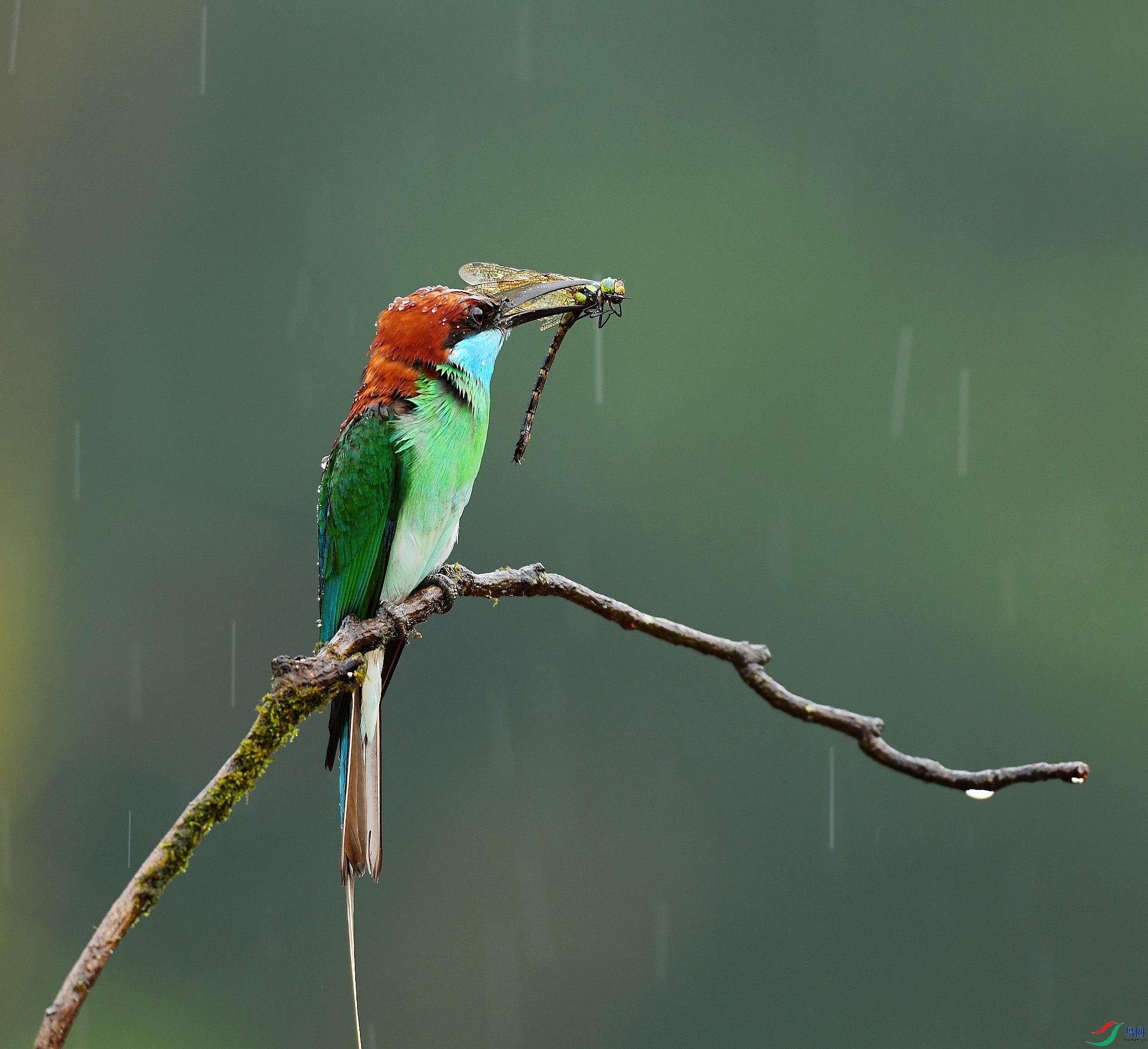 DSC_9298.jpg