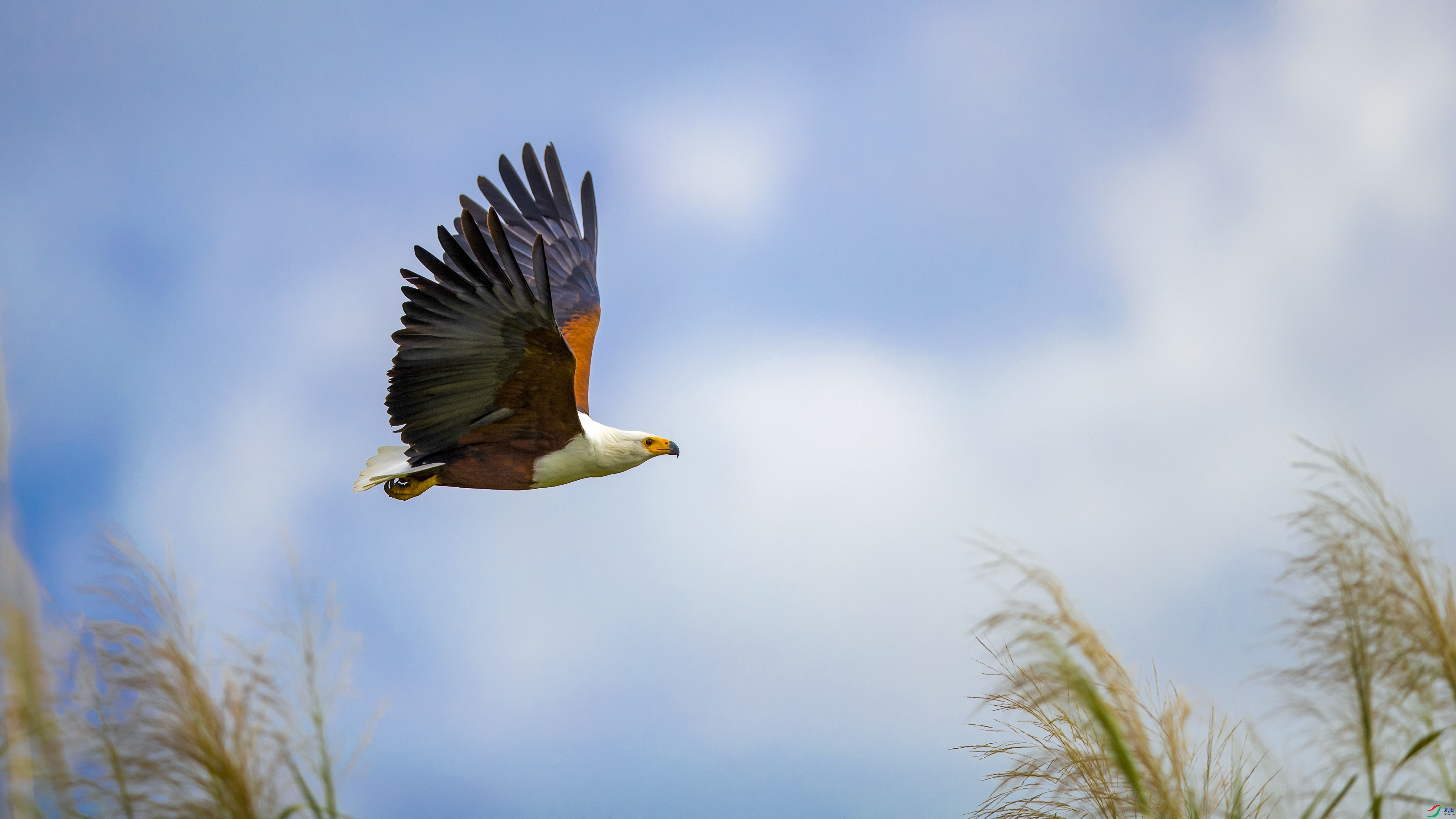 CG7I6201-1 ����_1.JPG