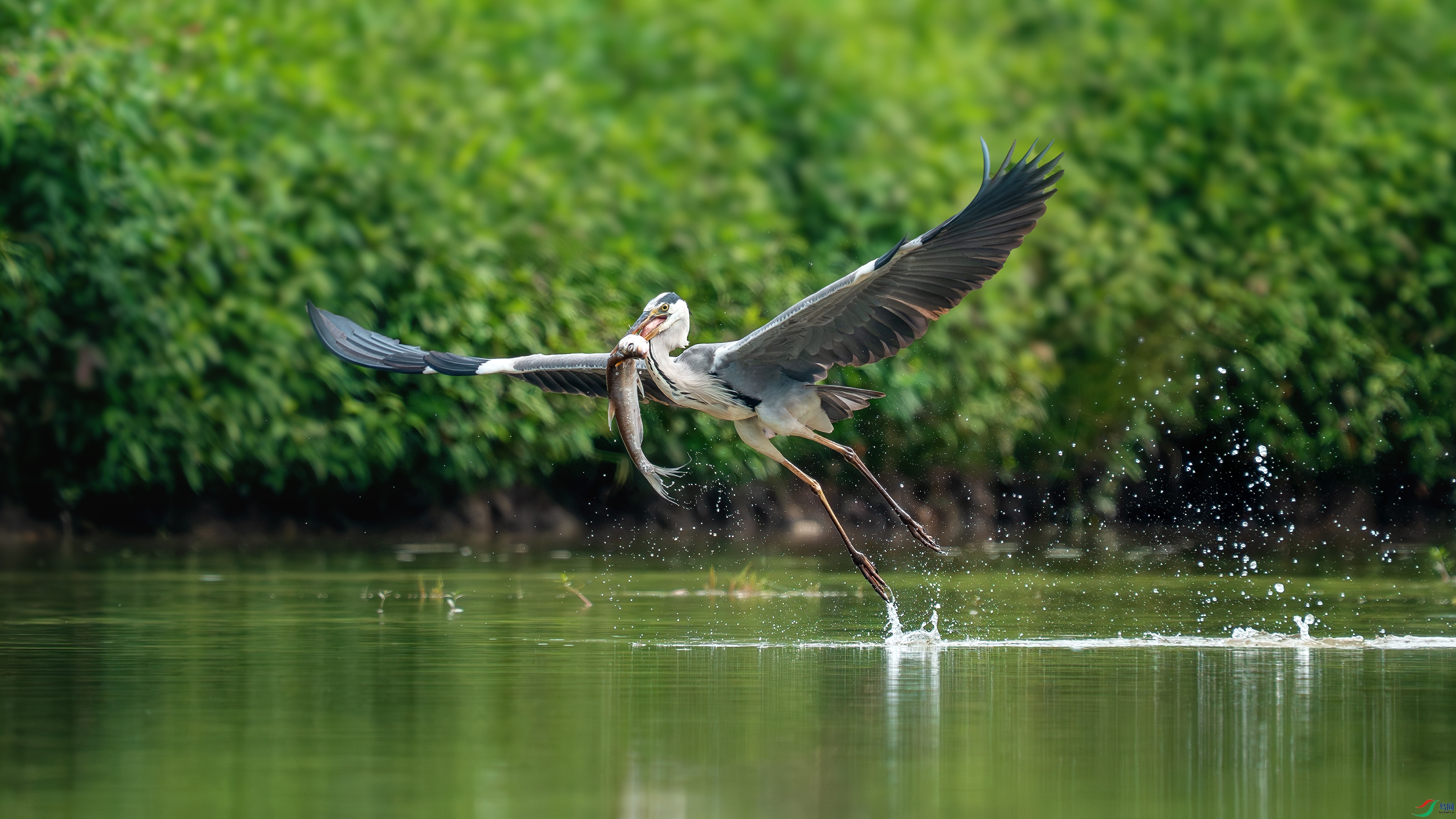 _DSC9483 ����.jpg