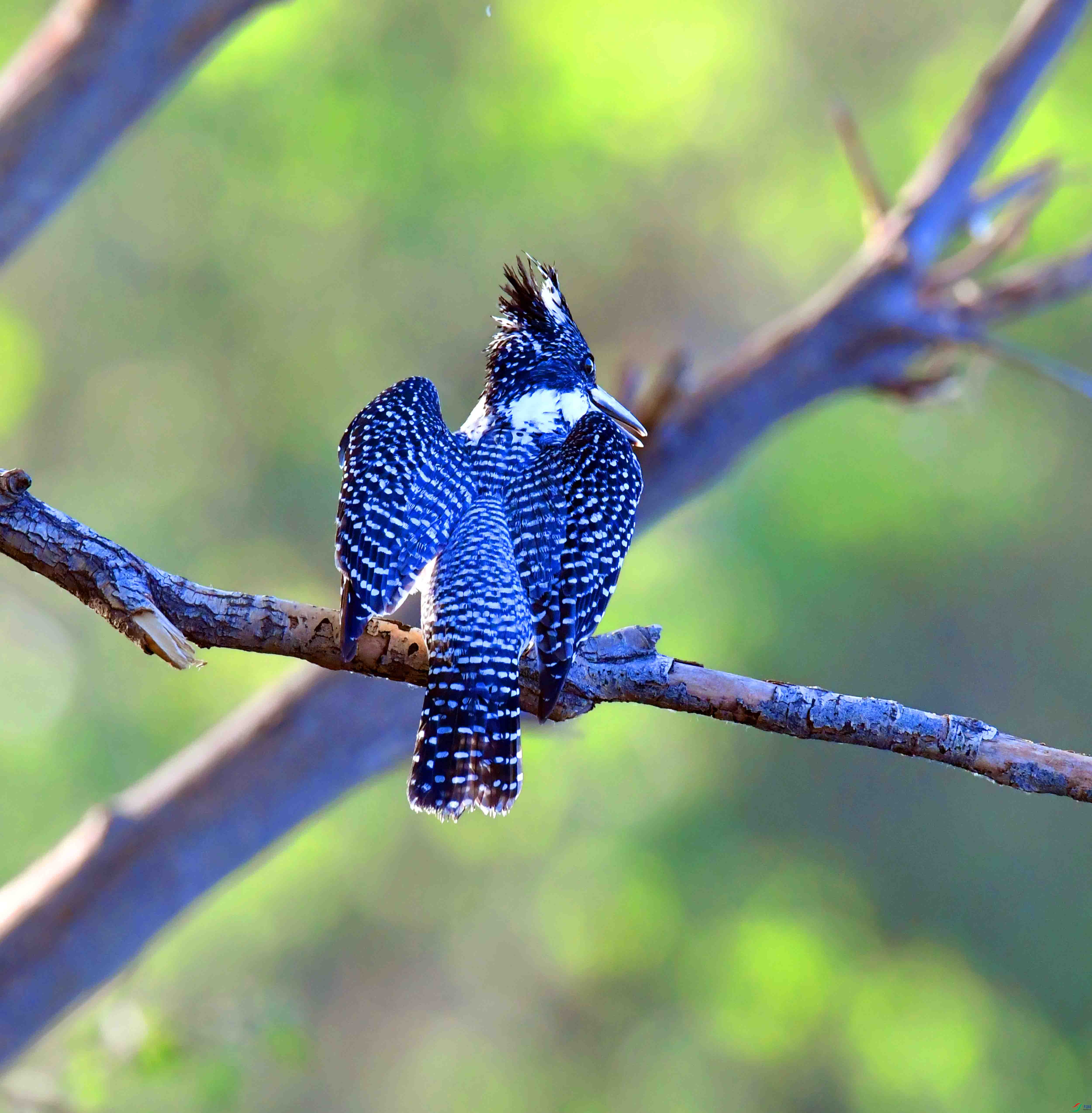 DSC_5036.JPG