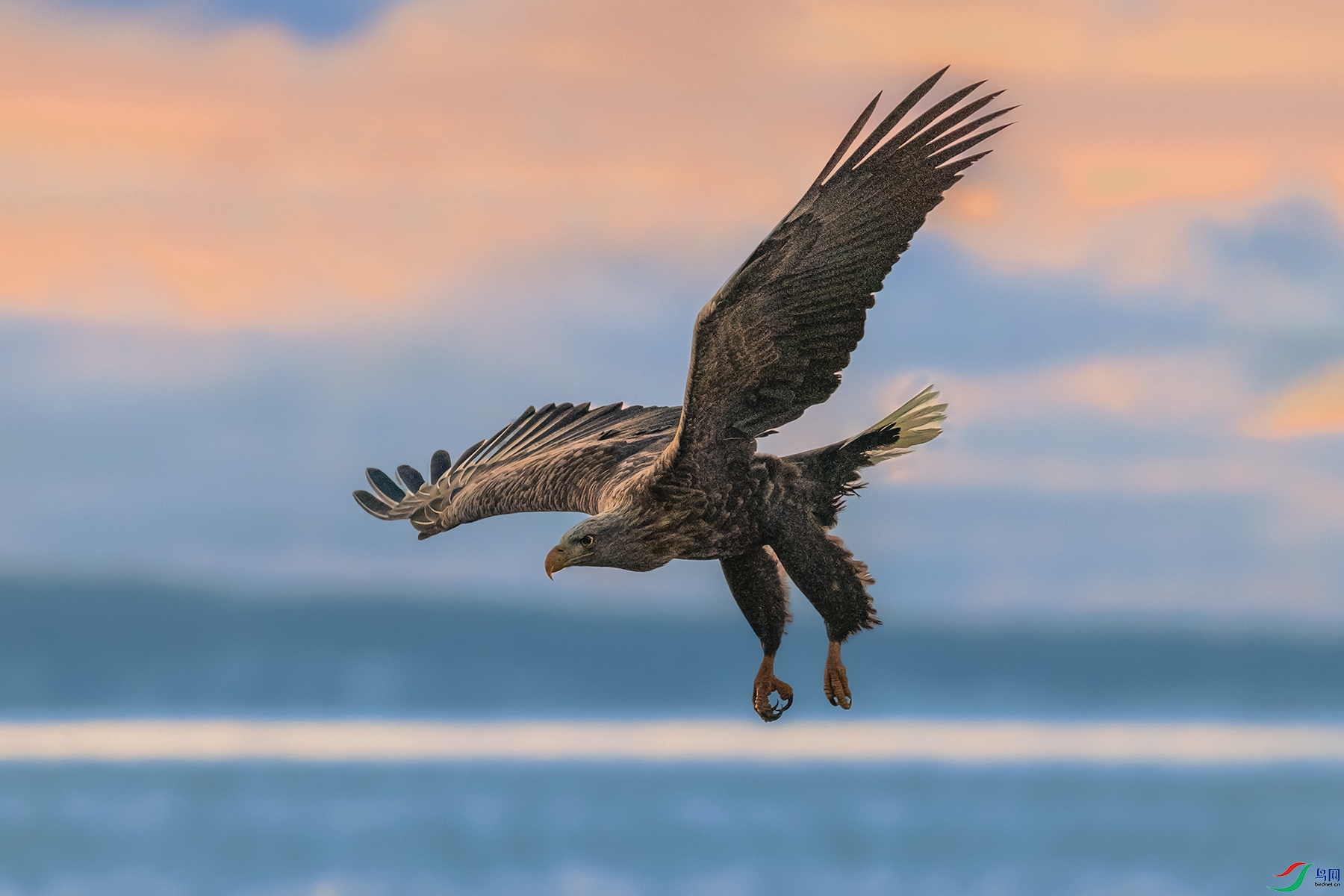 ��β����----��չ����������