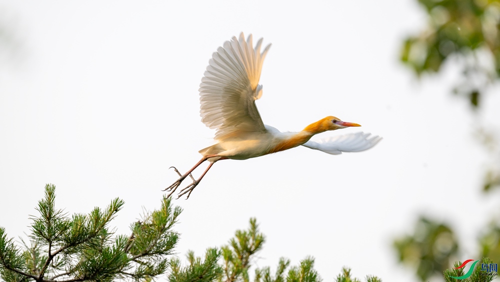 DSC_2074.jpg