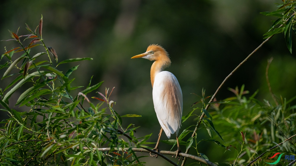DSC_4549.jpg