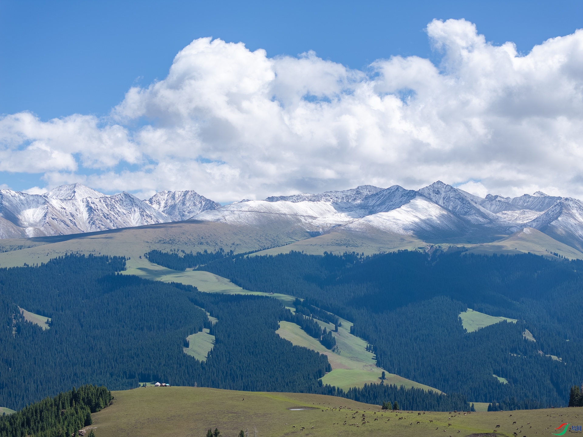 DJI_20240903154117_0032_D ����.jpg