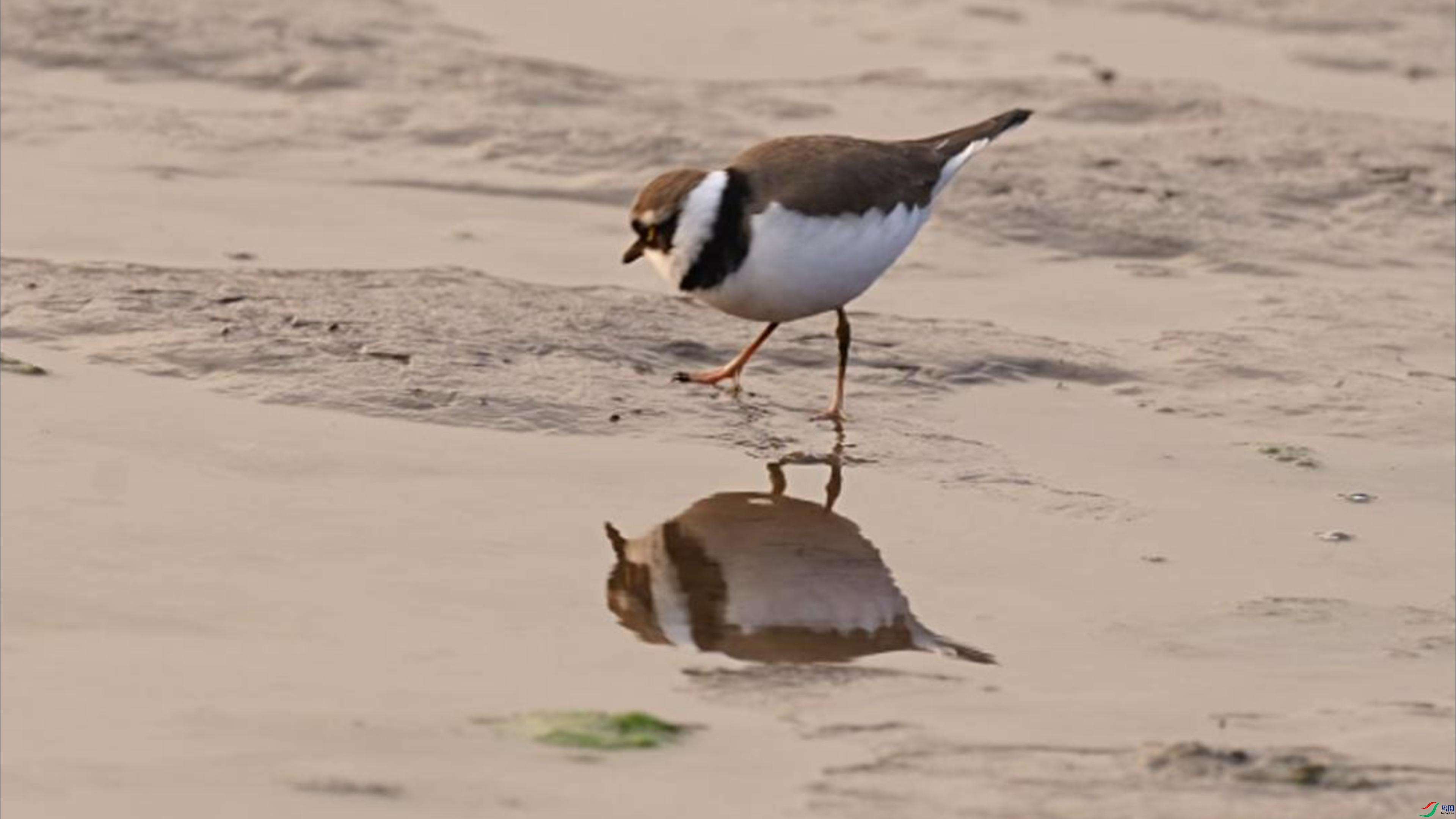 8��5�� (1)-����.jpg