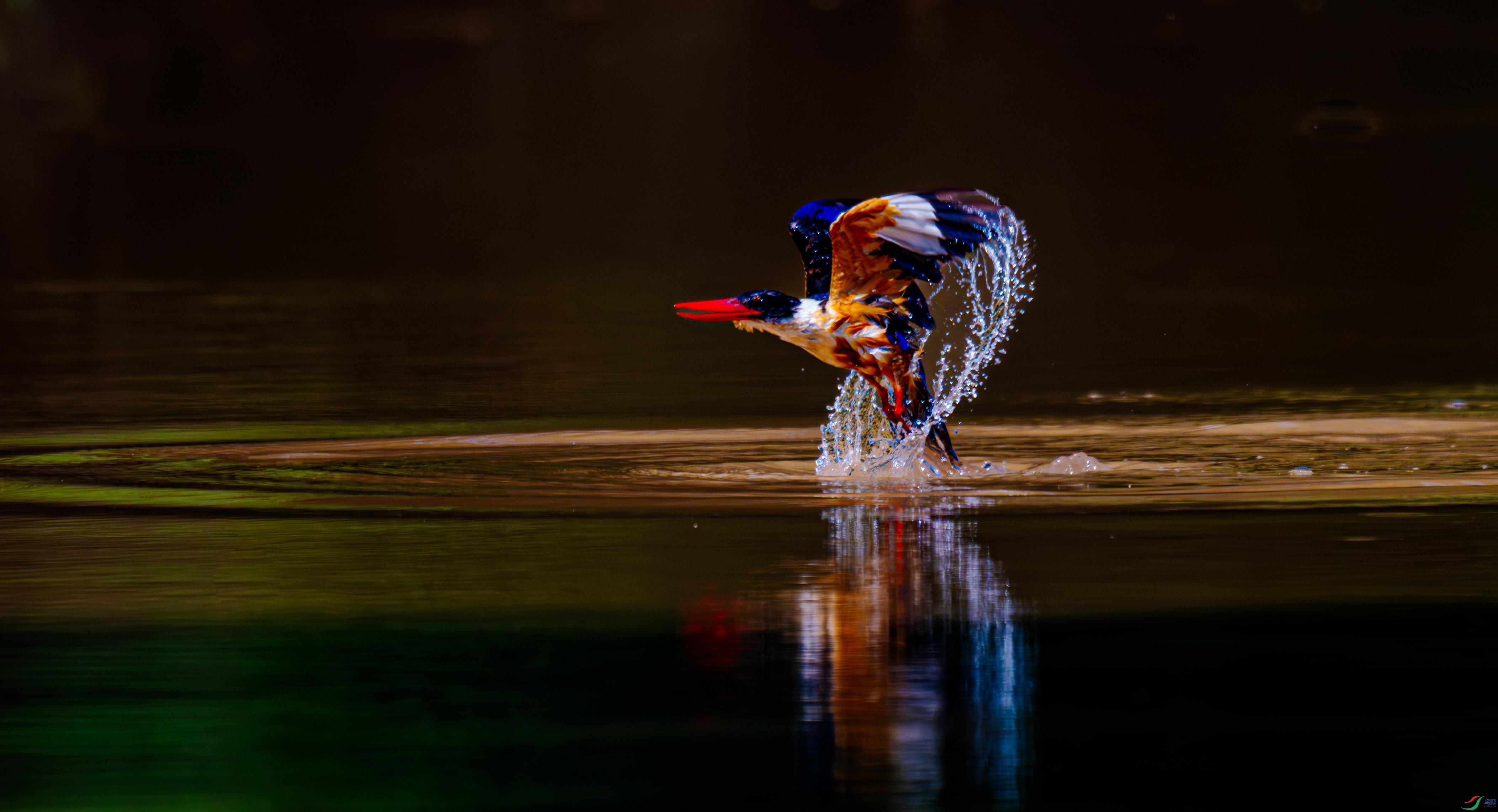 FYH_9299-3.jpg