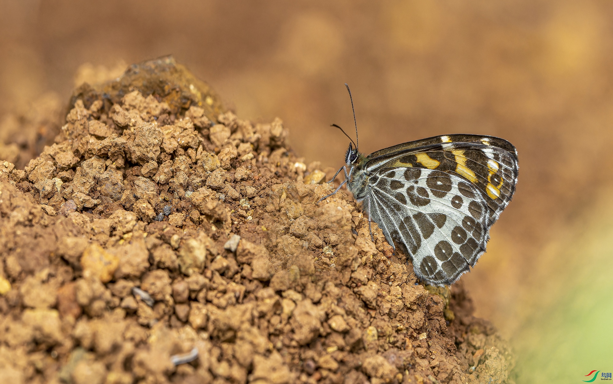 ���۵� (161)-01.jpg