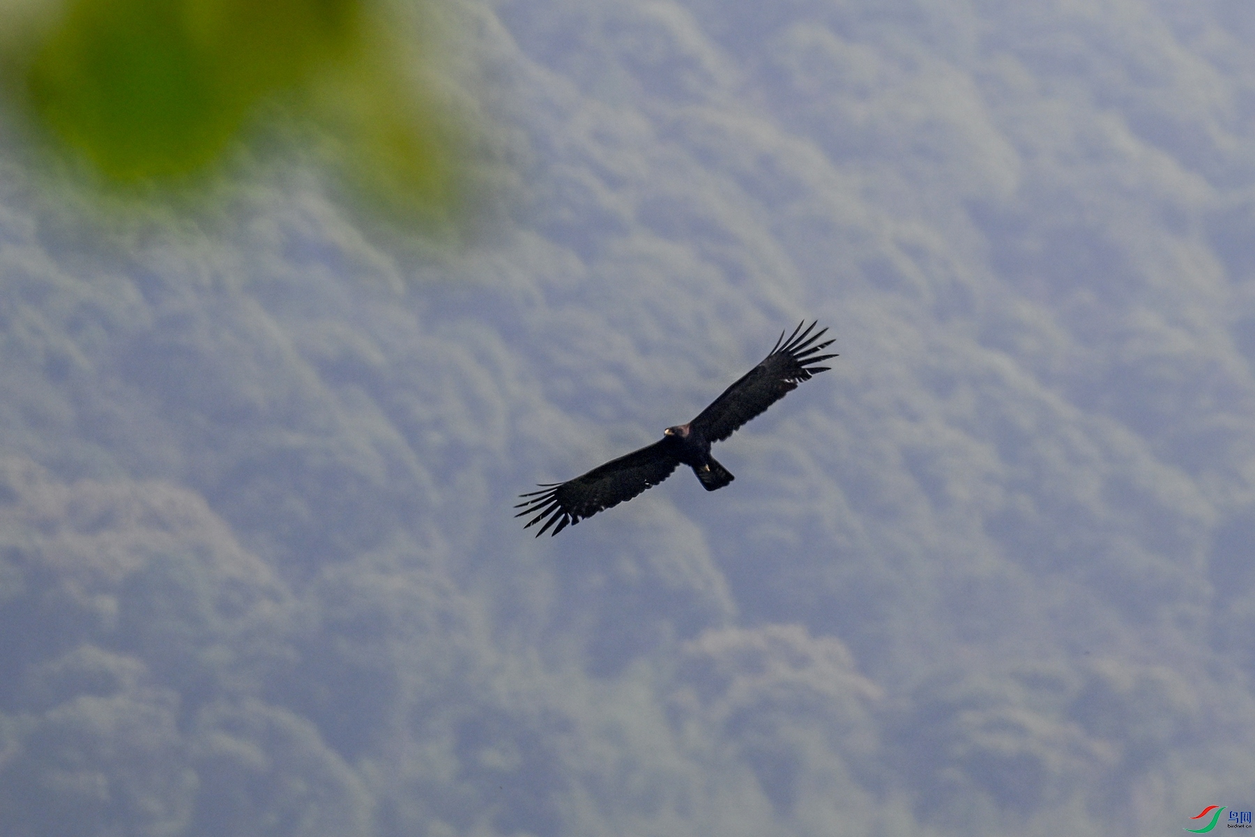 DSC_5020.JPG