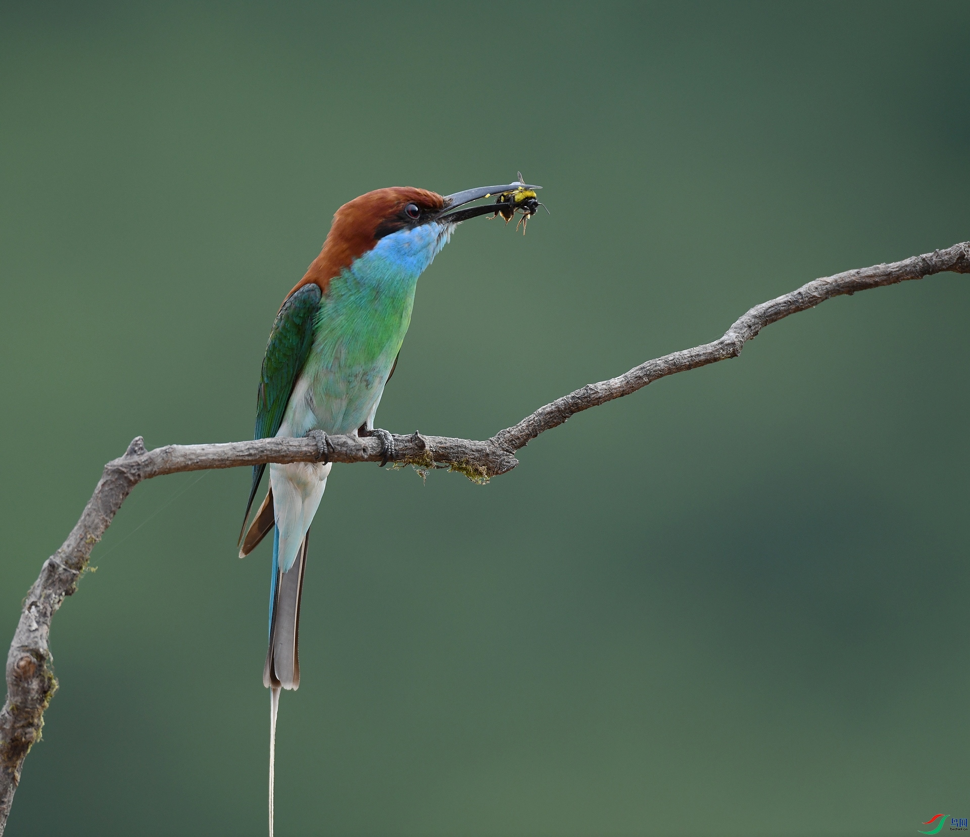 DSC_0624.jpg
