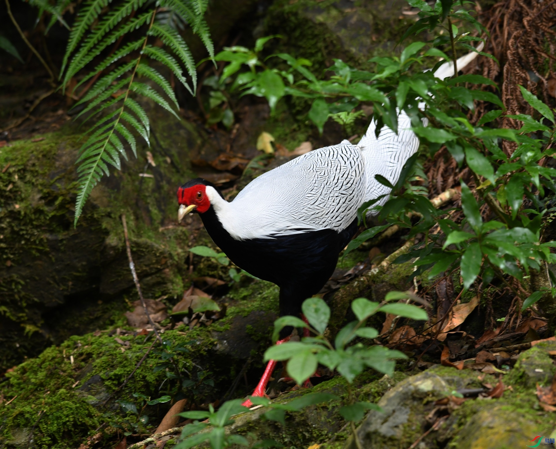 DSC_1942.jpg