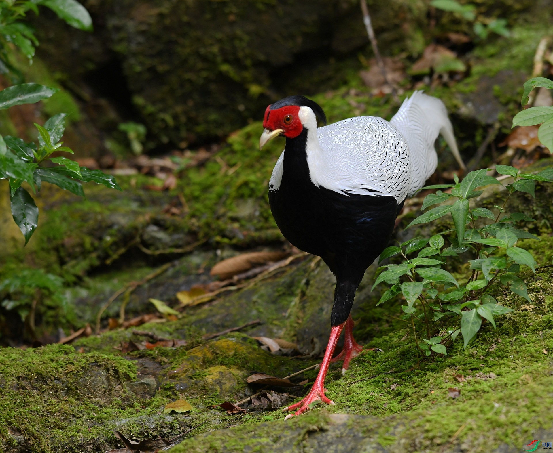 DSC_1946.jpg