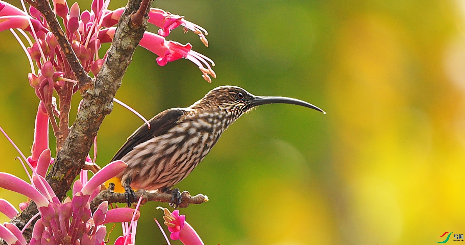 {21B562CB-23F3-4F02-9BA4-E79FA726AE31} ����.jpg