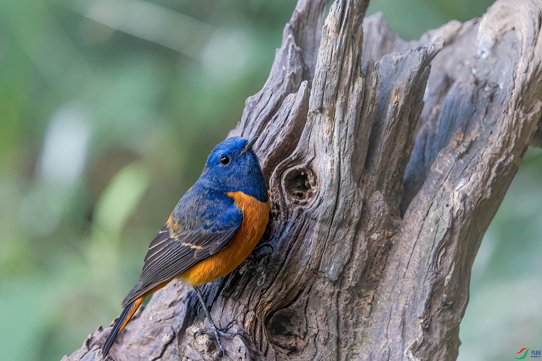 AQ4P1409-1.jpg