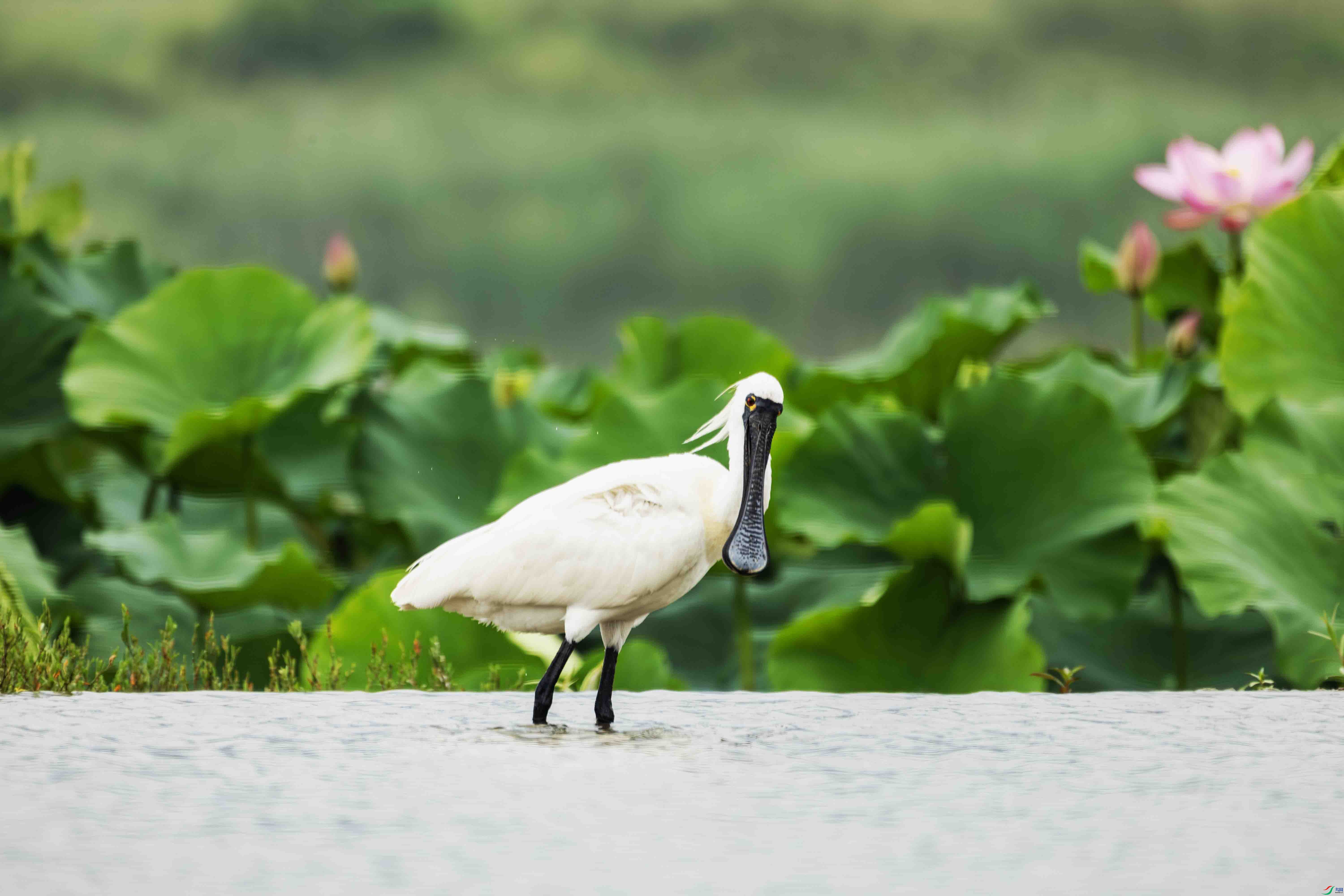 56  0Q3A5666 ����.jpg