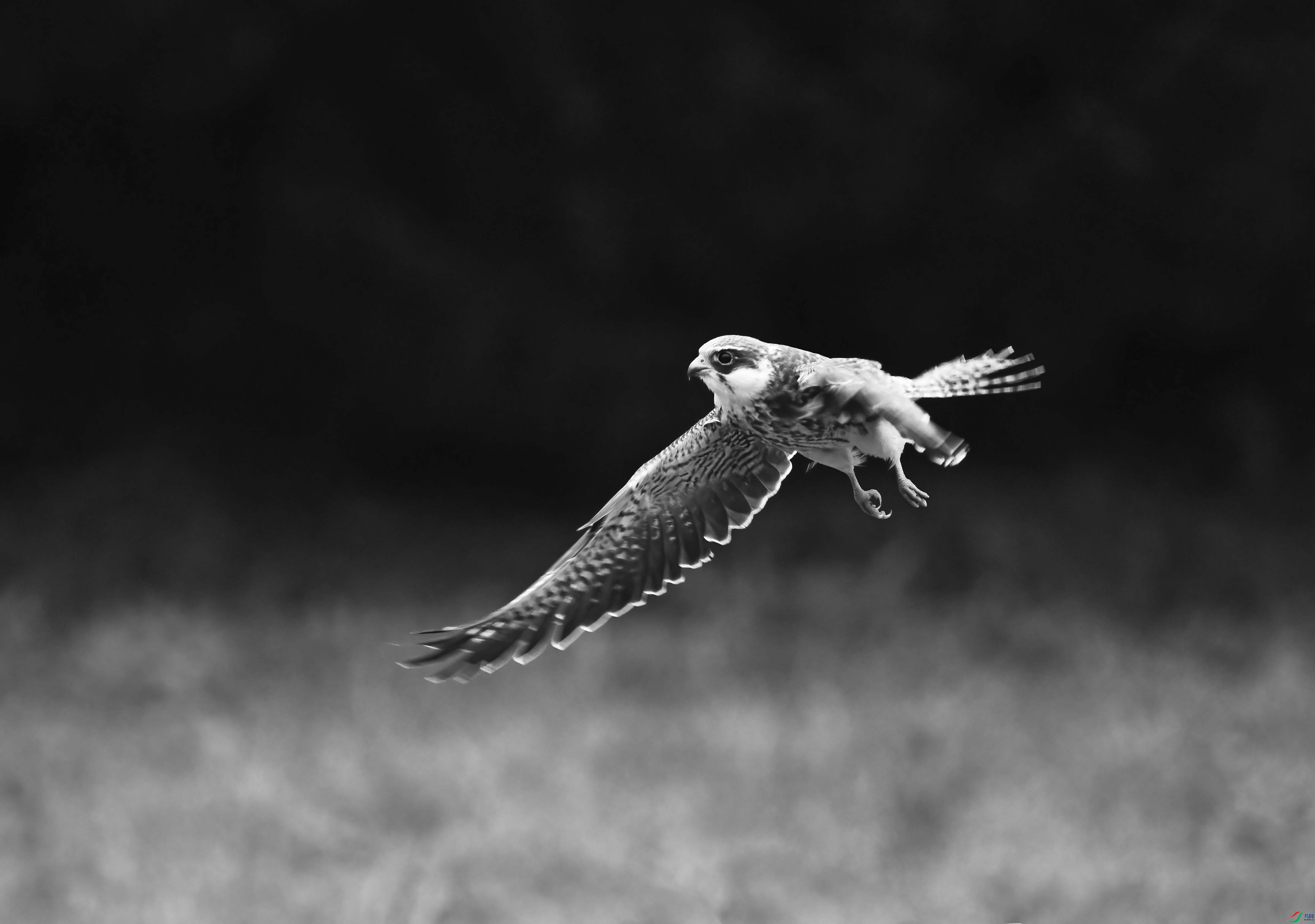 DSC_0822 ����.jpg