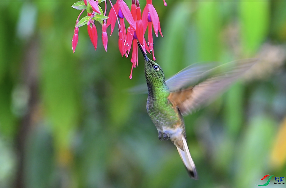 ����2025-08-05 20.36.21.png