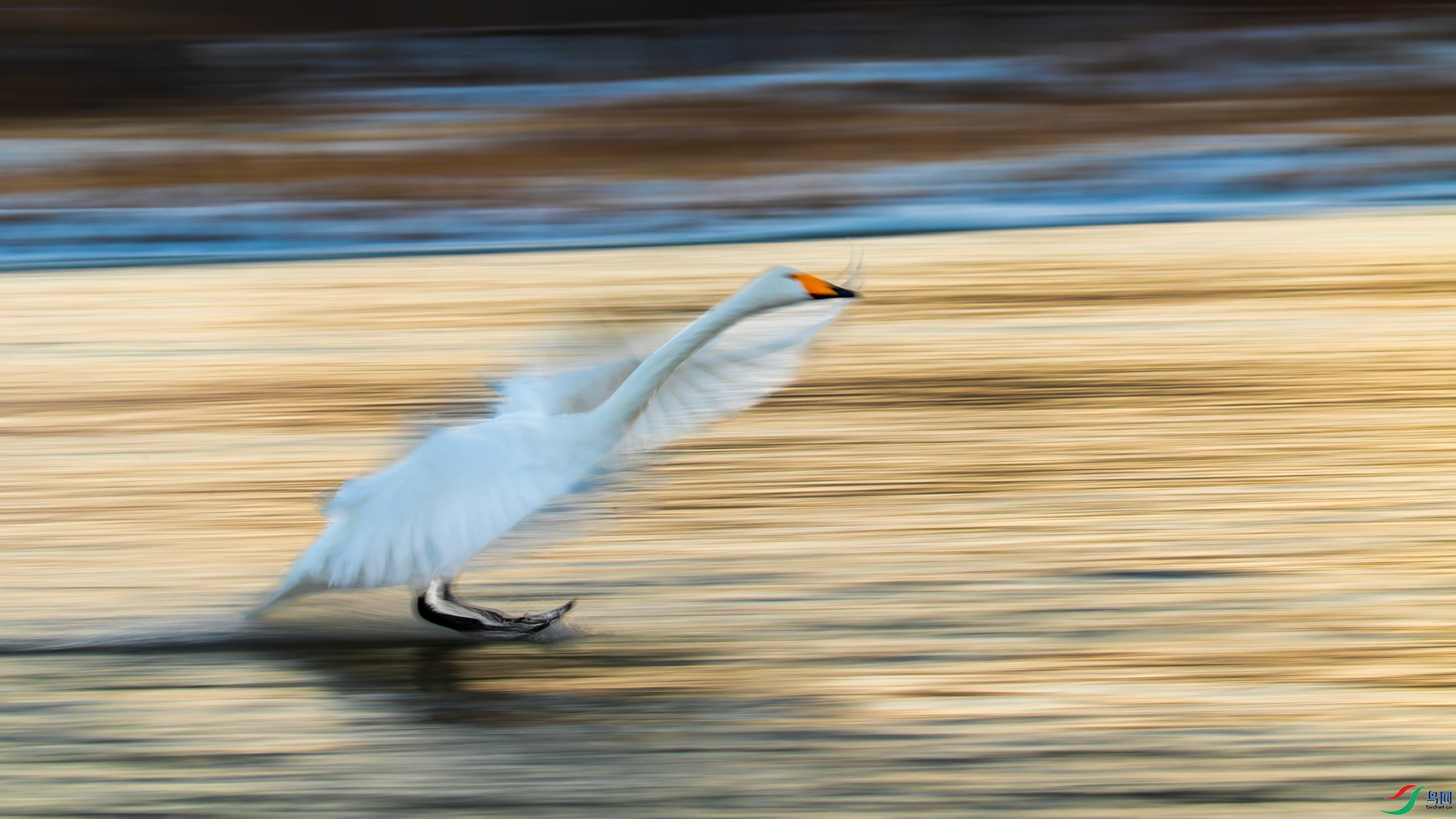 _00A9009-CR2_DxO_DeepPRIME.jpg