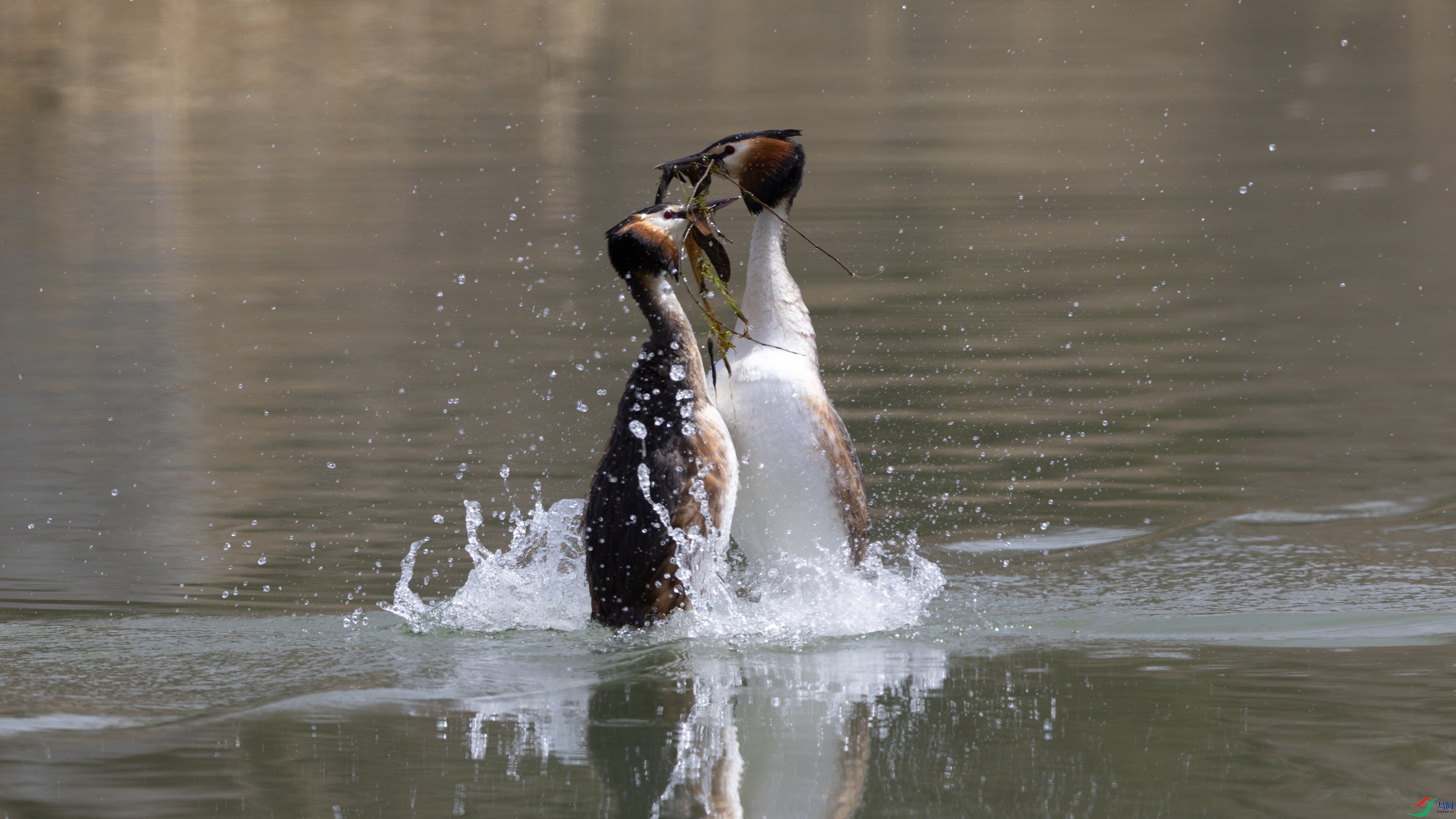 _O7A9556 ����.jpg