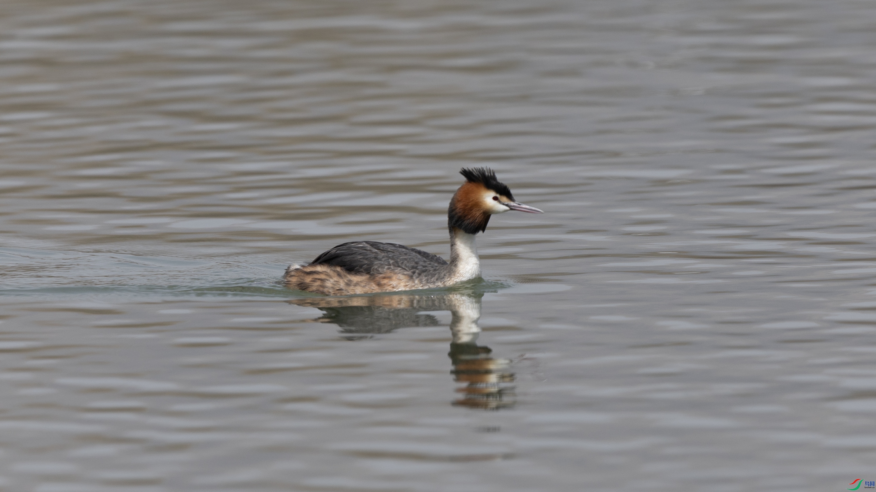 _O7A9480 ����.jpg