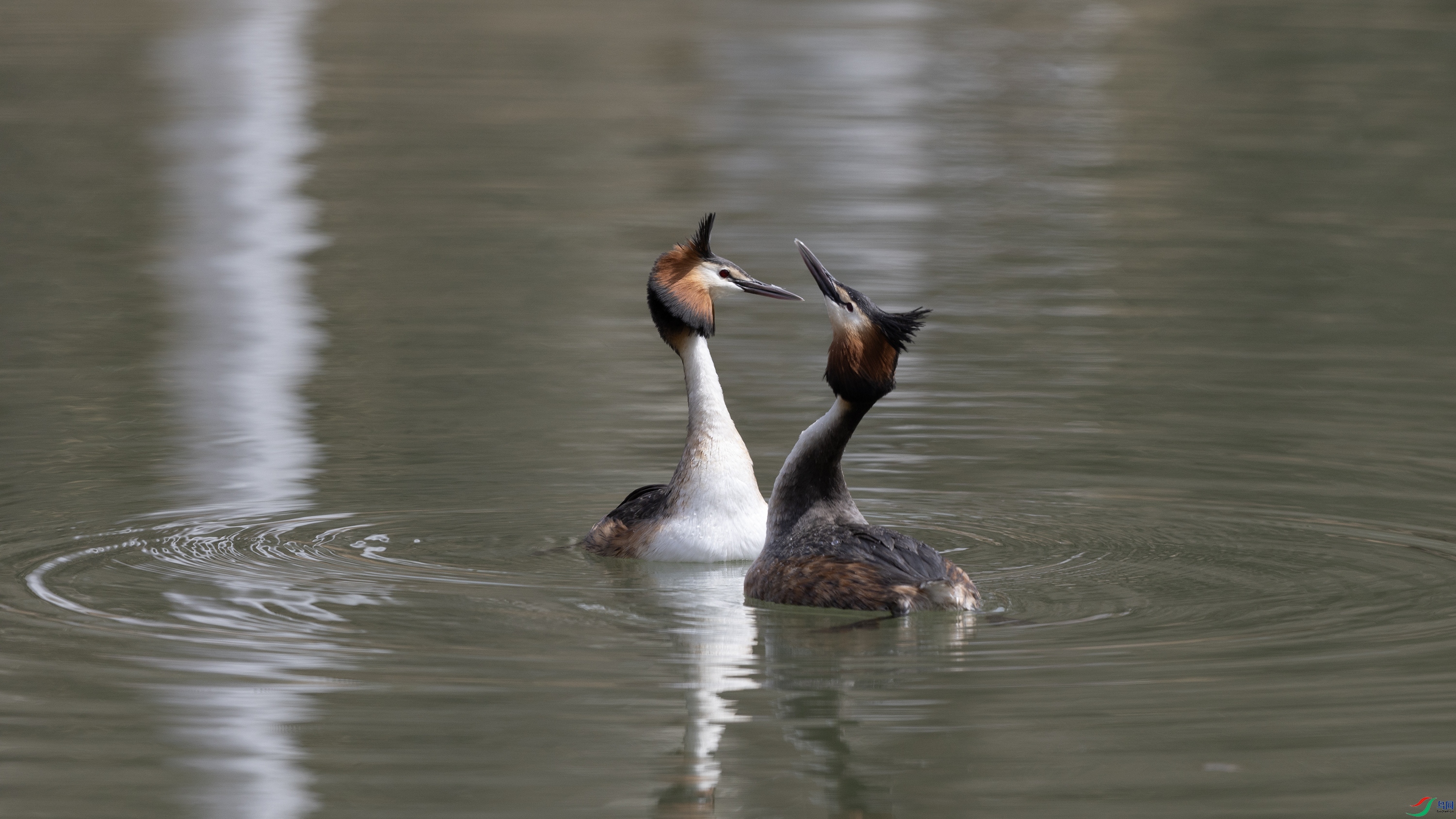 _O7A9541 ����.jpg