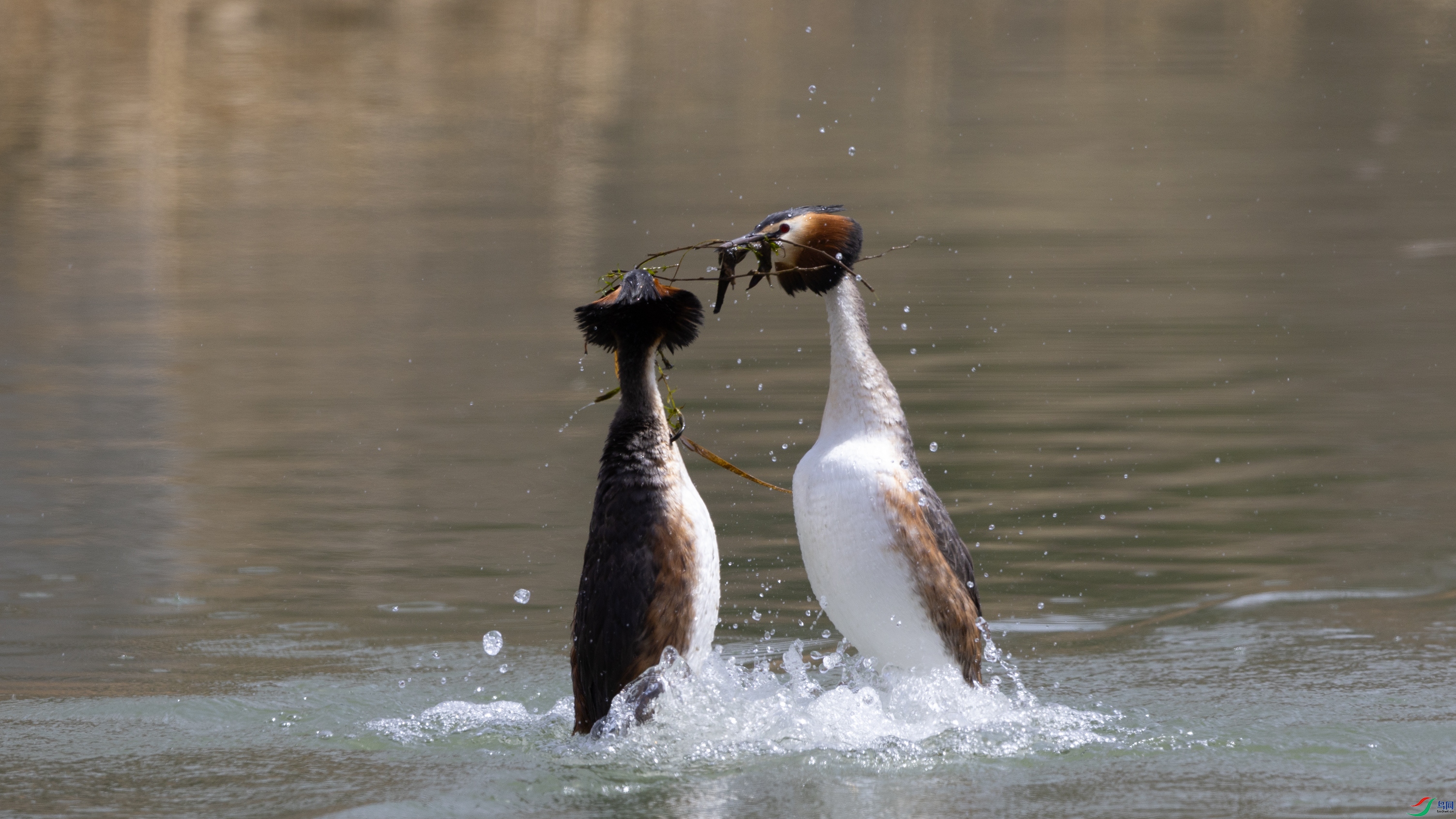 _O7A9562 ����.jpg