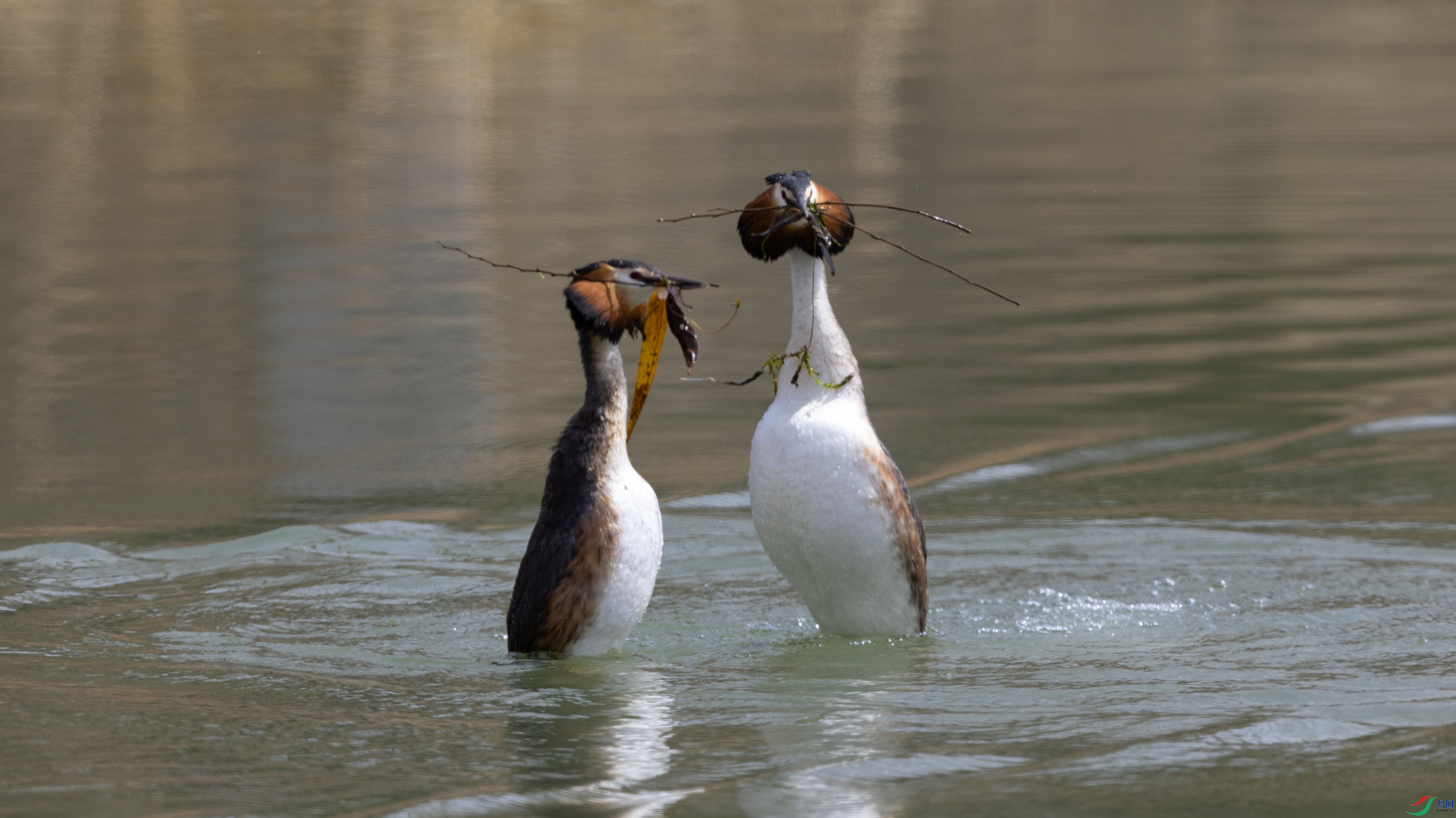 _O7A9568 ����.jpg