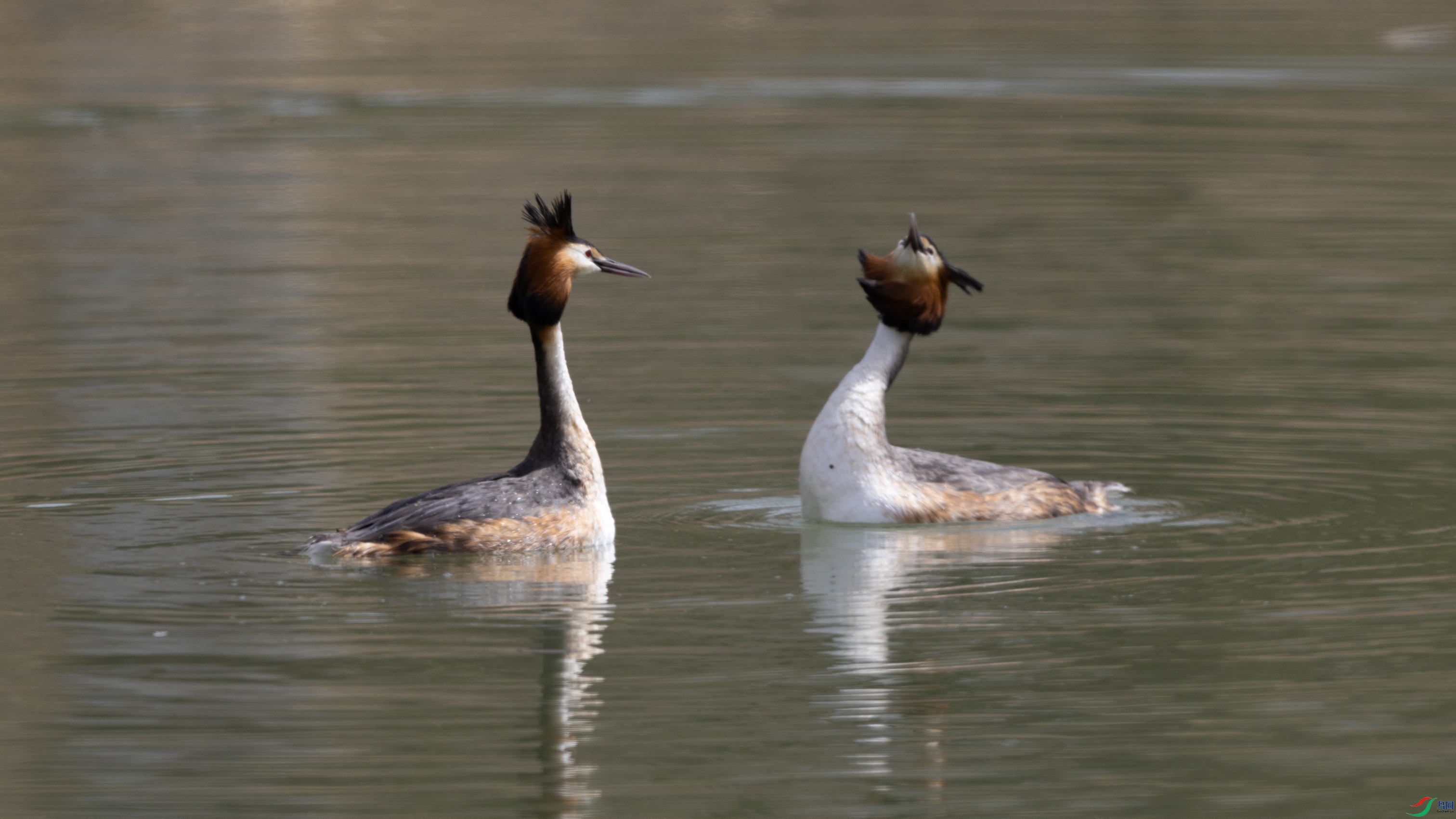 _O7A9584 ����.jpg